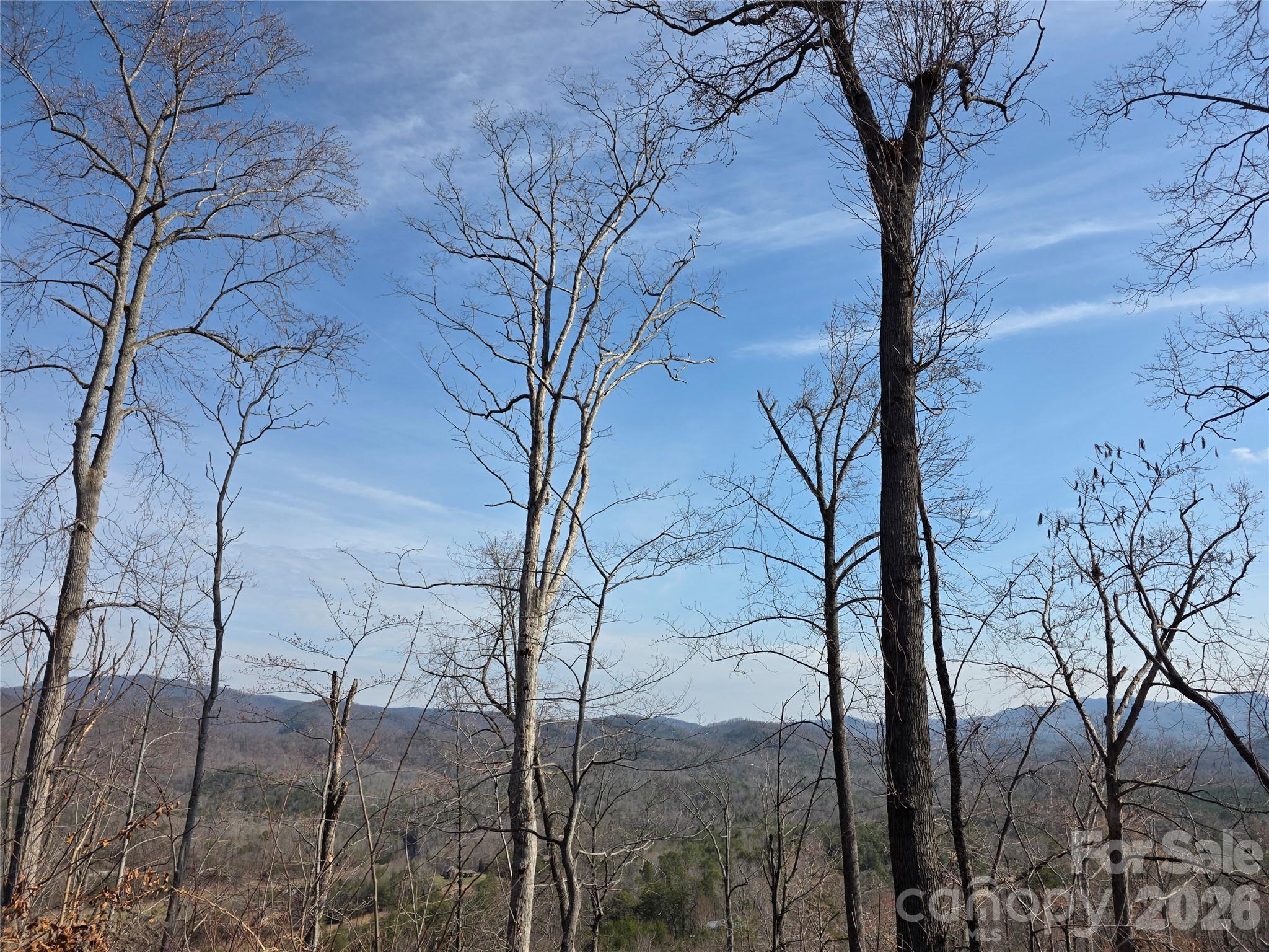 4th image of Lot 45 Ridgecrest Dr, Lake Lure, NC 28746 | MLS# 4404720