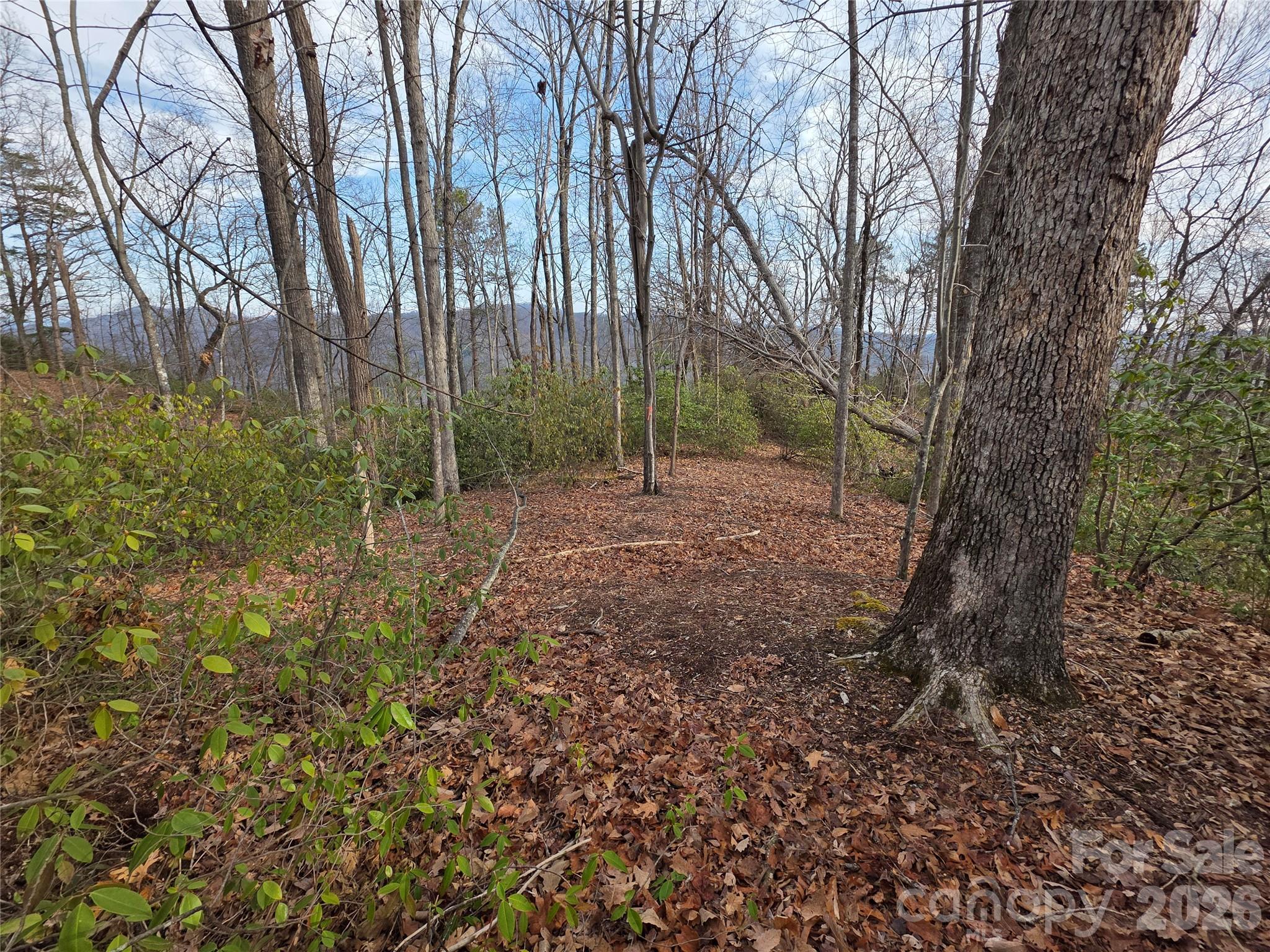 2nd image of Lot 45 Ridgecrest Dr, Lake Lure, NC 28746 | MLS# 4404720