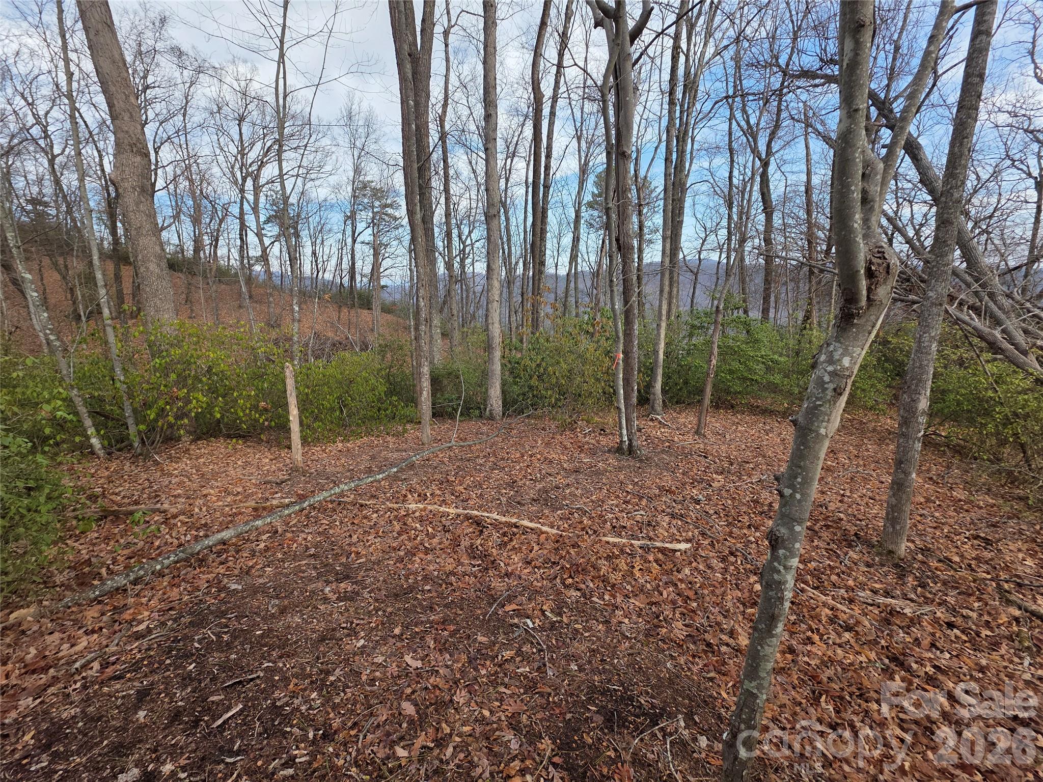 5th image of Lot 45 Ridgecrest Dr, Lake Lure, NC 28746 | MLS# 4404720