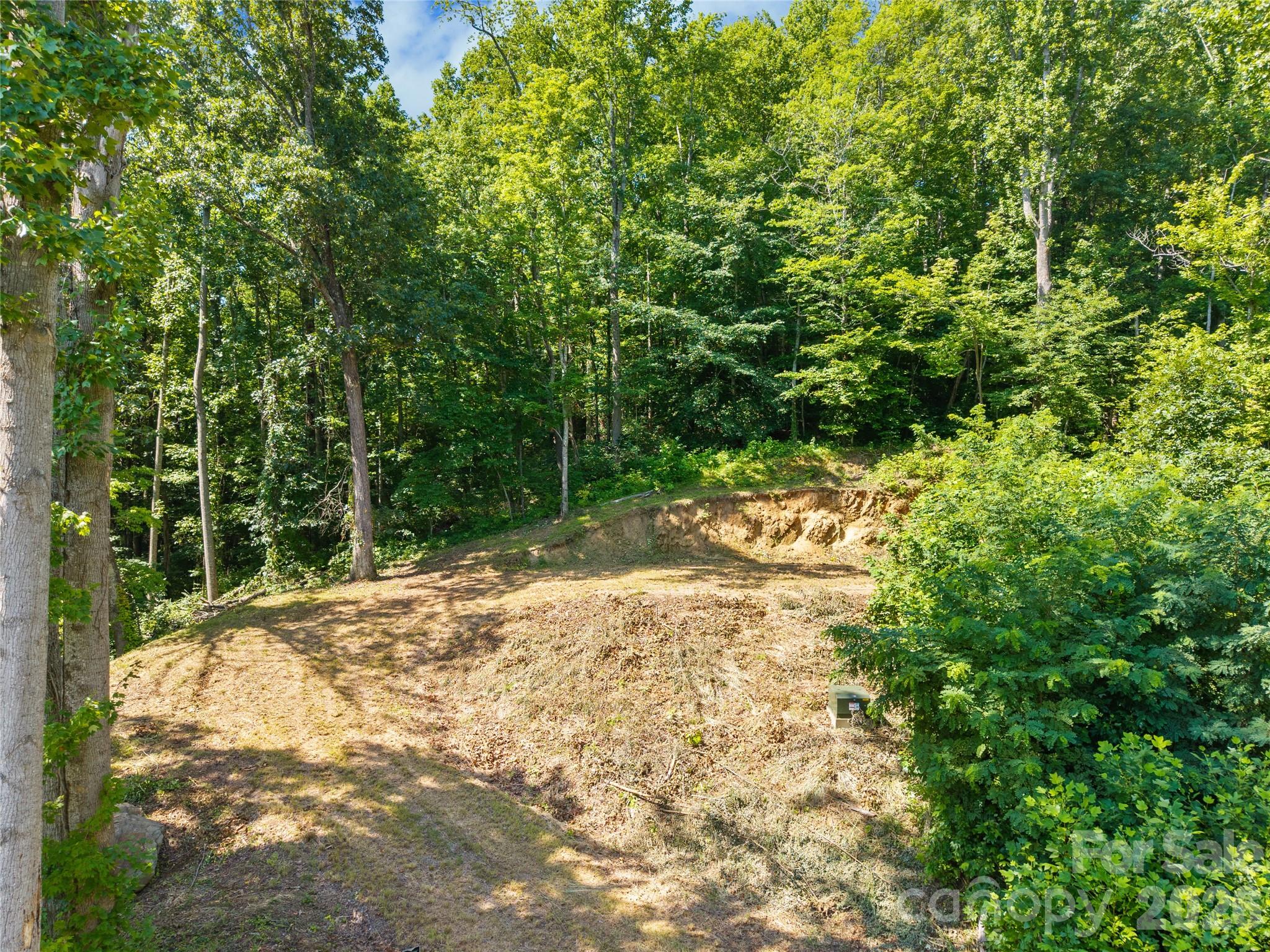 5th image of 51 Wind Stone Dr, Asheville, NC 28804 | MLS# 4404740