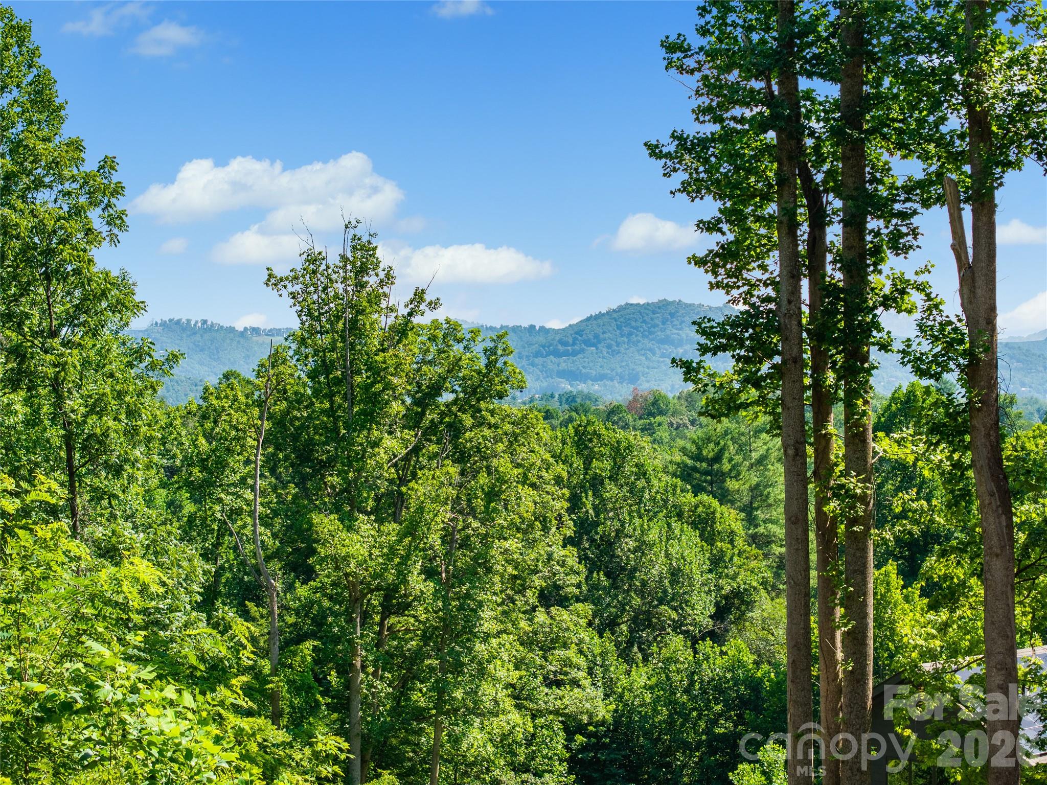 1st image of 51 Wind Stone Dr, Asheville, NC 28804 | MLS# 4404740
