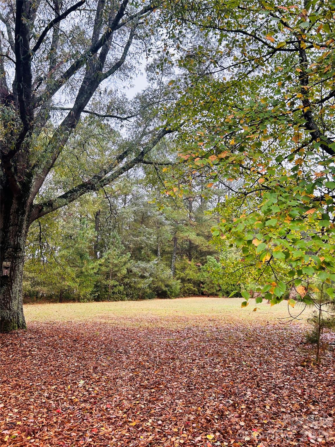 5th image of 3324 Antioch Church Rd, Weddington, NC 28104 | MLS# 4404863