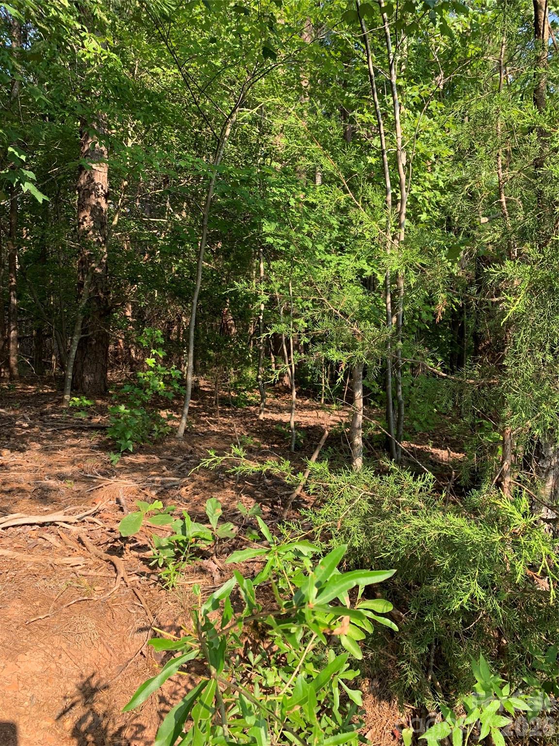 Homes for sale in Blacksburg, SC | 0 Rock House Rd, Blacksburg, SC 29702 | MLS# 4404871