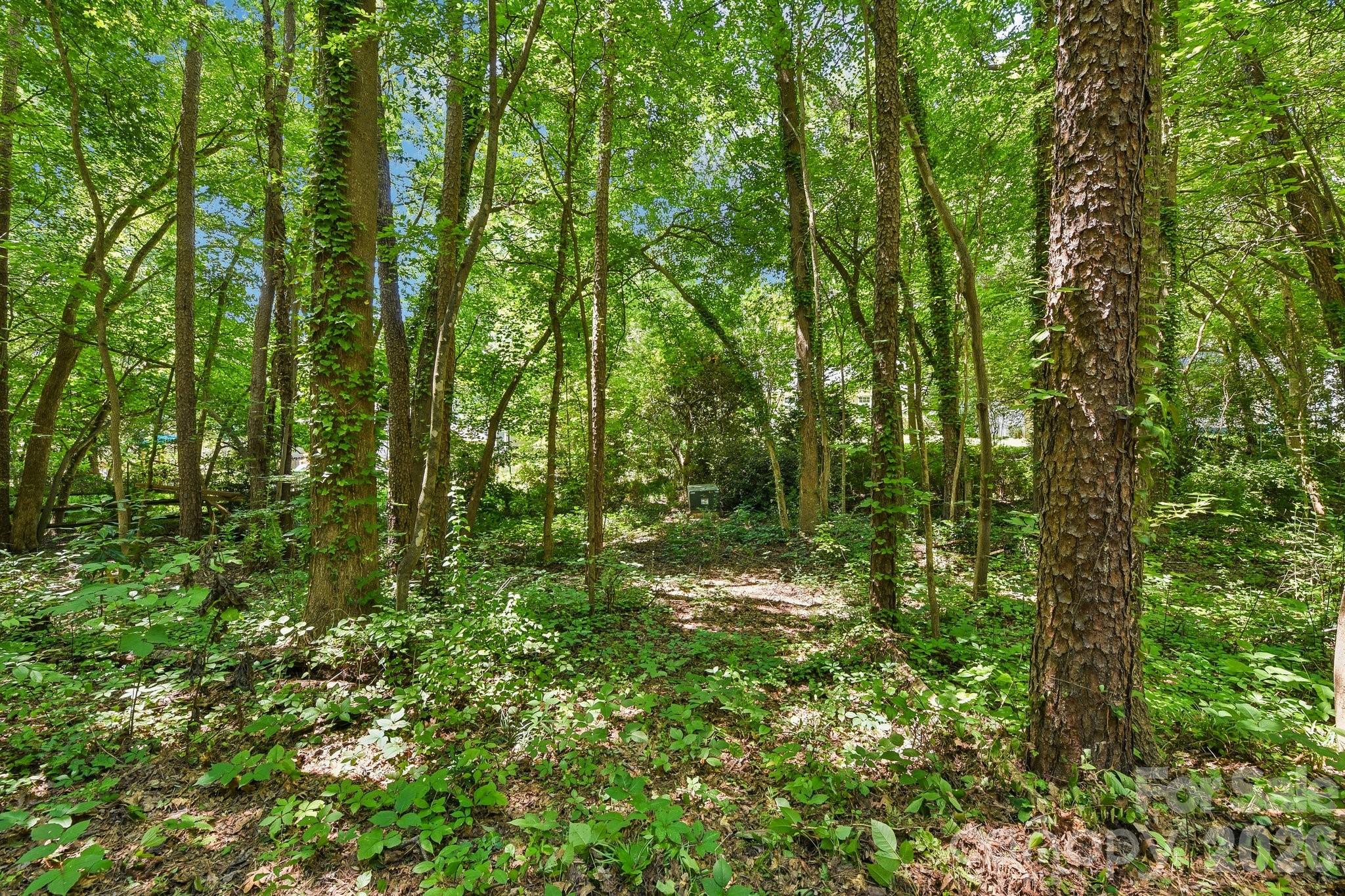 33rd image of 103 Worden Court, Huntersville, NC 28078 | MLS# 4404875