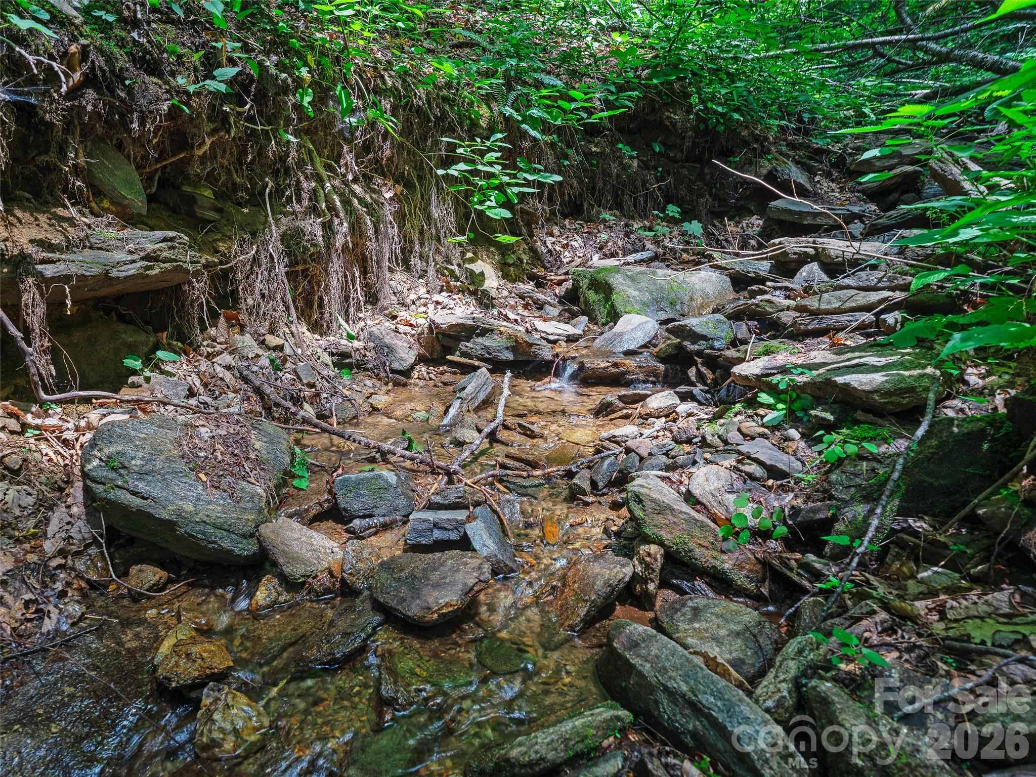Photo 4 of Land for sale at 0000 Deep Gap Rd, Burnsville, NC 28714 | MLS# 4404955 | Listing updated on 2026-09-04
