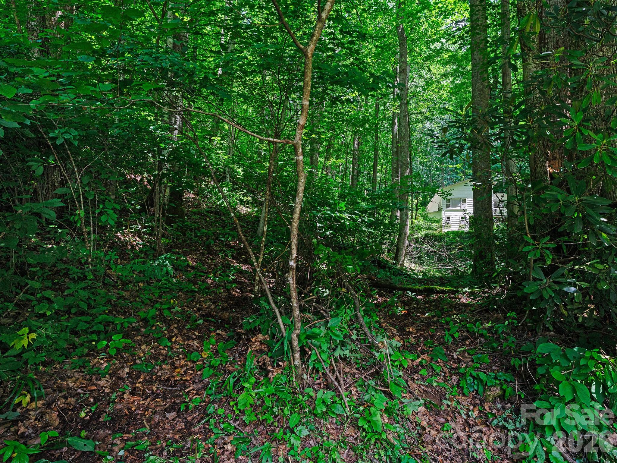 Photo 3 of Land for sale at 0000 Deep Gap Rd, Burnsville, NC 28714 | MLS# 4404955 | Listing updated on 2026-09-04