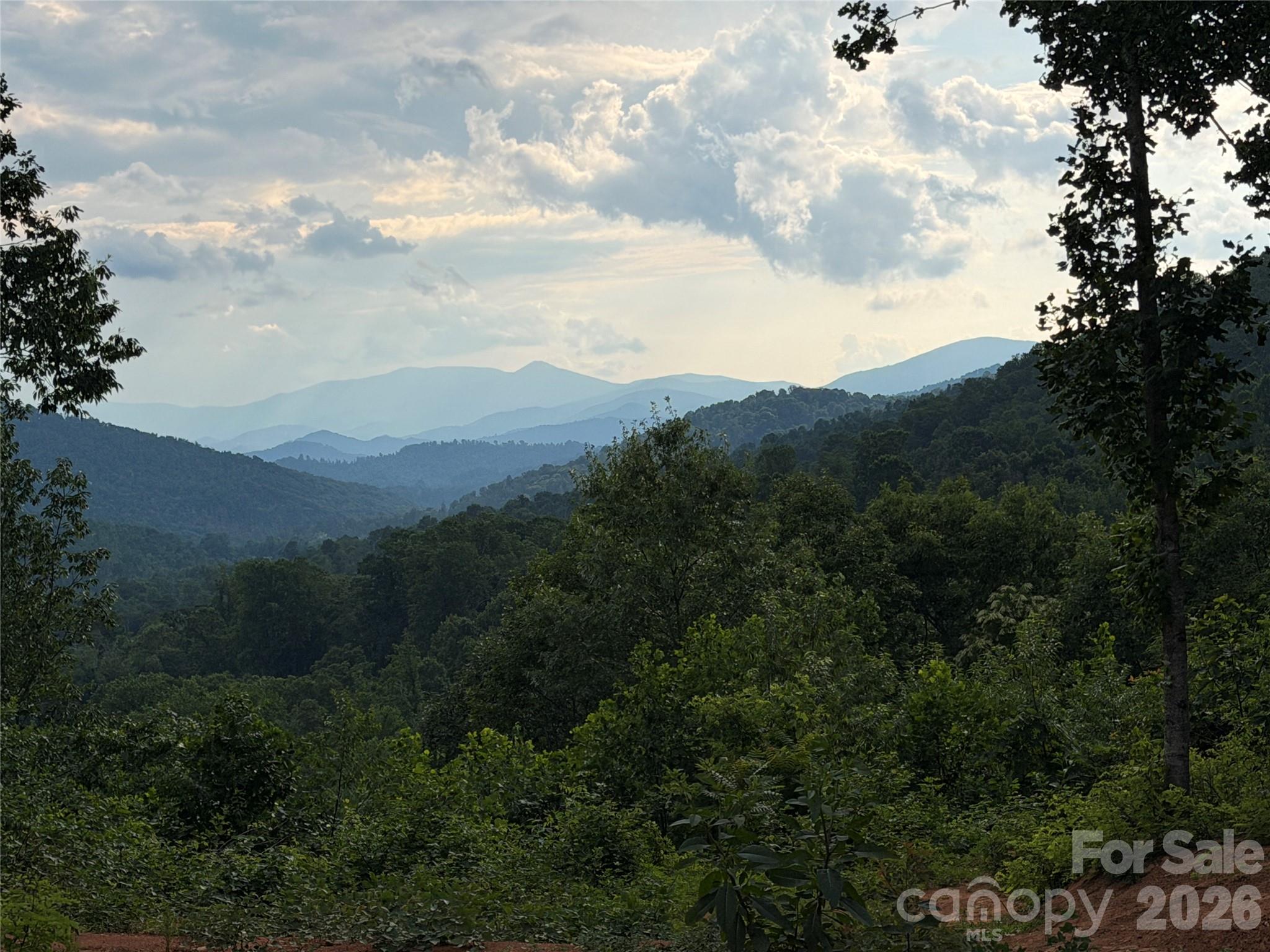 Homes for sale in Bakersville, NC | 99999 Tipton Ln, Bakersville, NC 28705 | MLS# 4404999