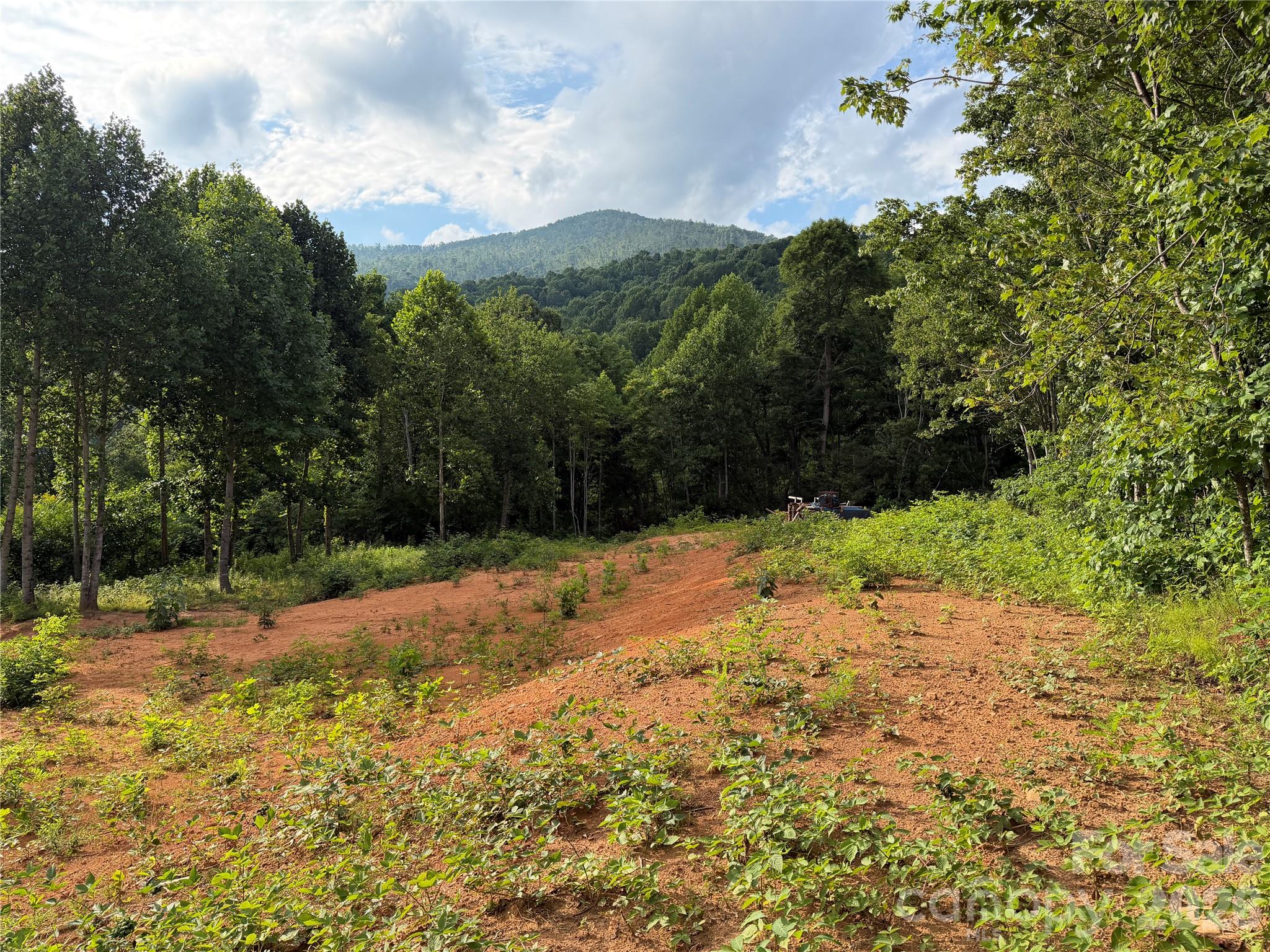 Homes for sale in Bakersville, NC | 99999 Tipton Ln, Bakersville, NC 28705 | MLS# 4404999
