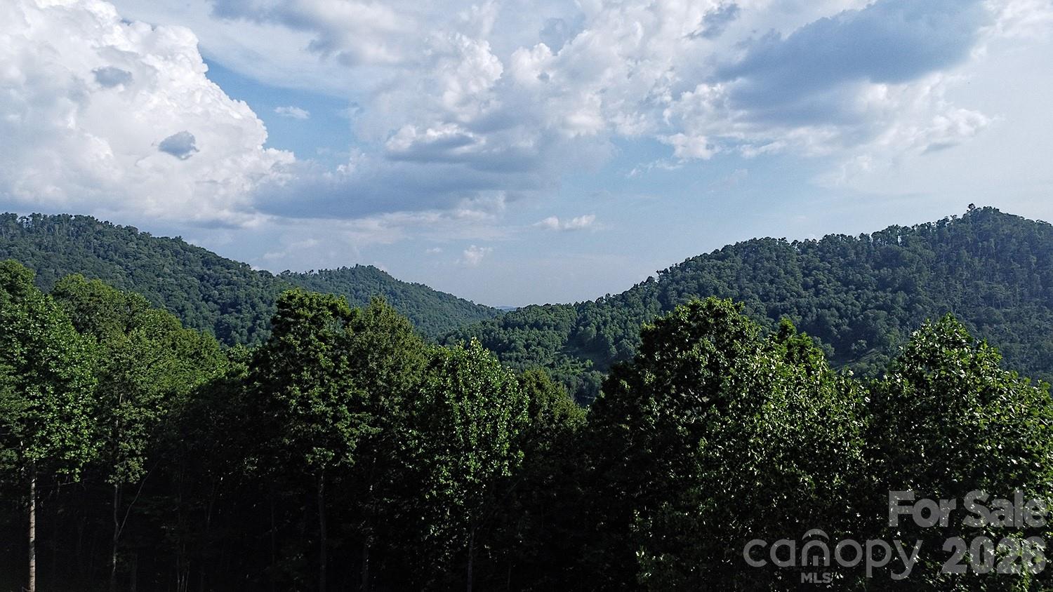 Homes for sale in Bakersville, NC | 99999 Tipton Ln, Bakersville, NC 28705 | MLS# 4404999