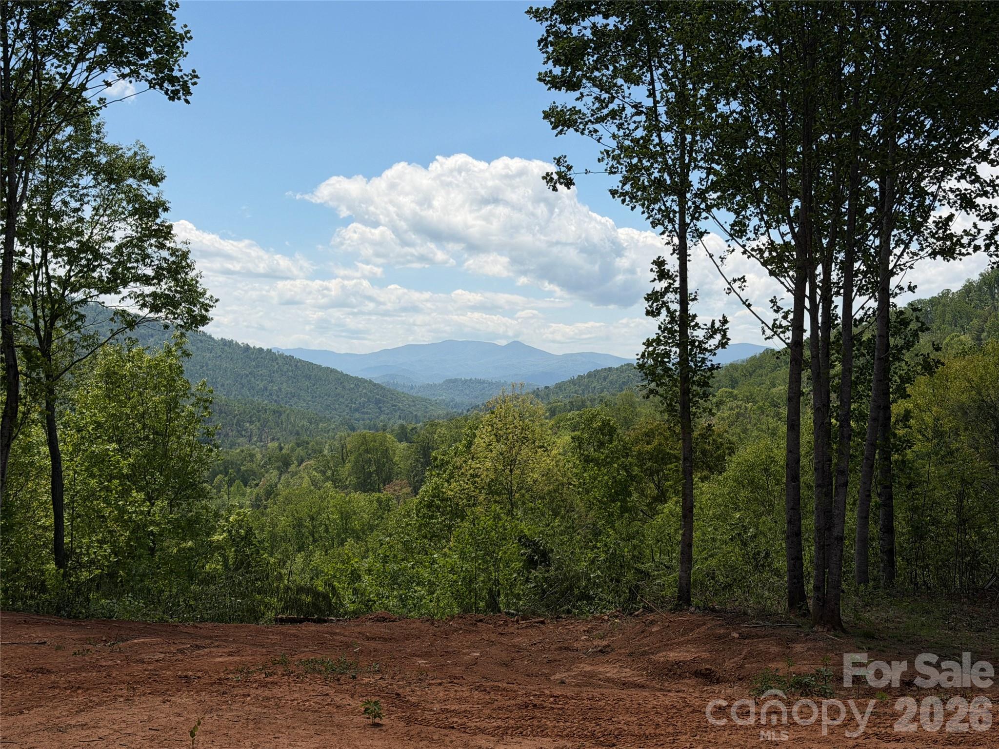Homes for sale in Bakersville, NC | 99999 Tipton Ln, Bakersville, NC 28705 | MLS# 4404999
