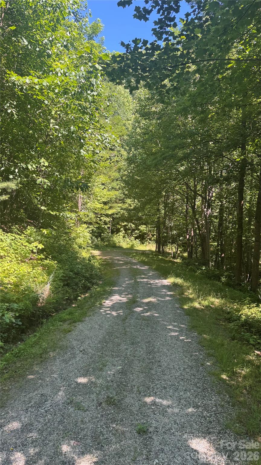 15th image of 1802 Off Sr, Saluda, NC 28773 | MLS# 4405467