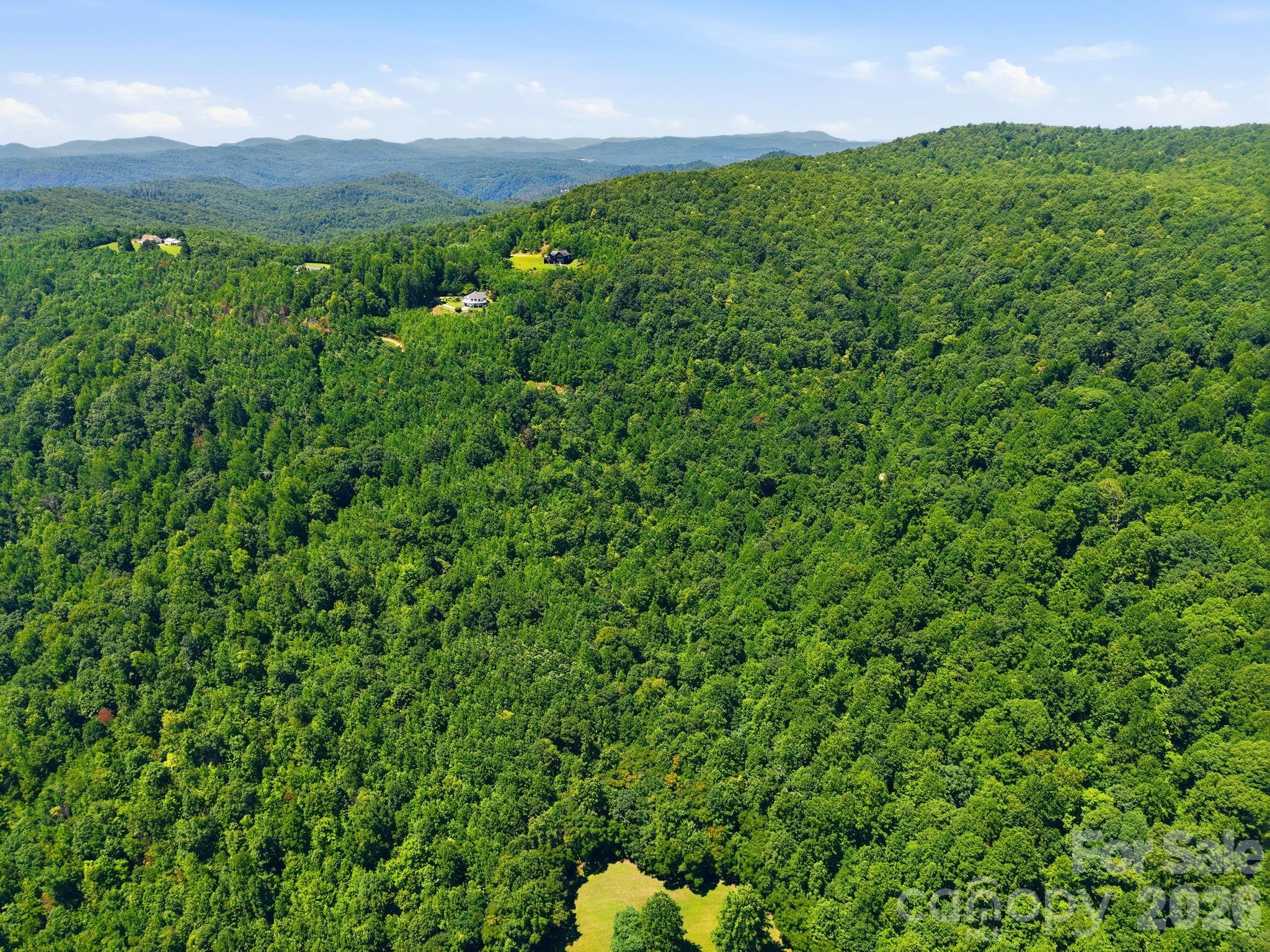 3rd image of 1802 Off Sr, Saluda, NC 28773 | MLS# 4405467