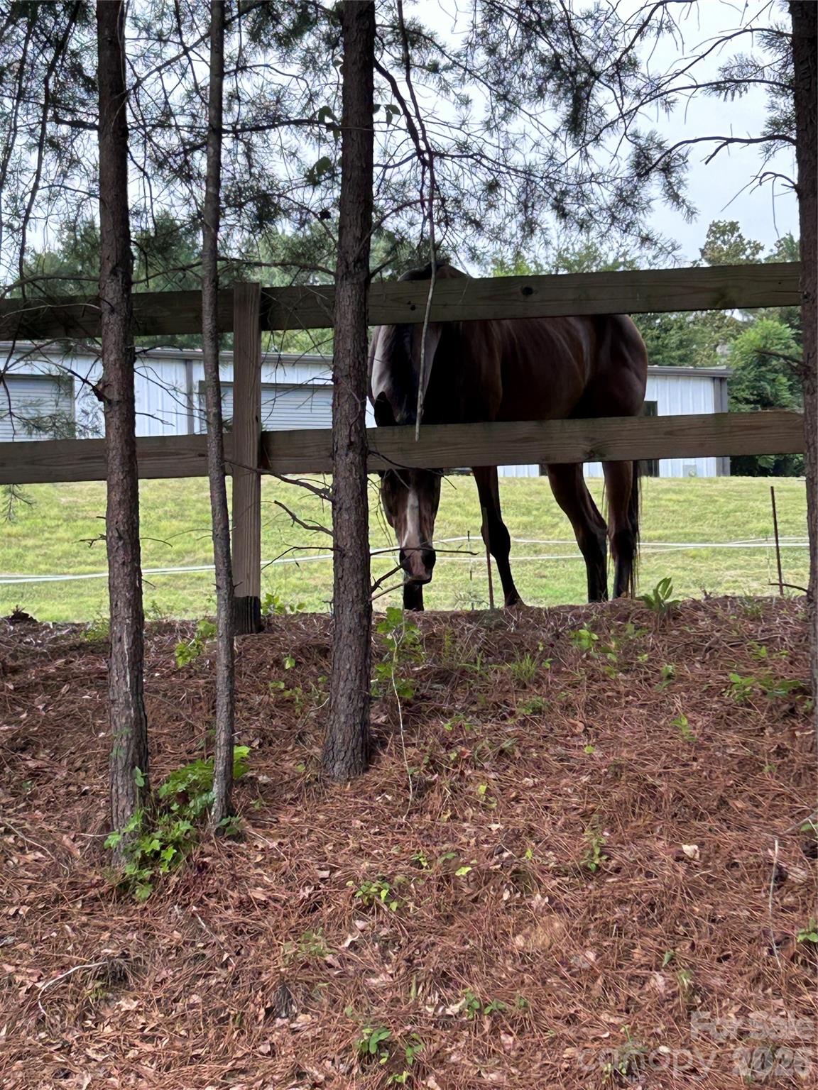 44th image of 1095 E Prince Rd, Landrum, SC 29356 | MLS# 4405538