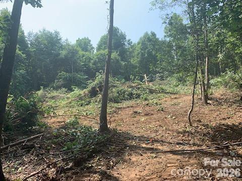 Homes for sale in Taylorsville, NC | 1 Old Vashti Rd, Taylorsville, NC 28681 | MLS# 4405655