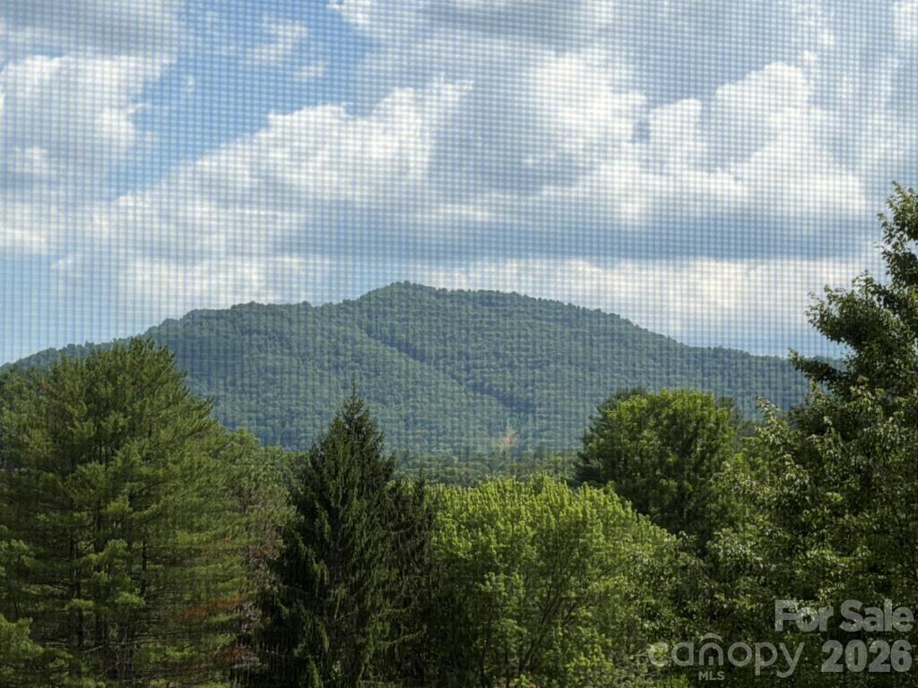 Homes for sale in Franklin, NC | 31 Mint Lake Ct W #Unit B, Franklin, NC 28734 | MLS# 4405656