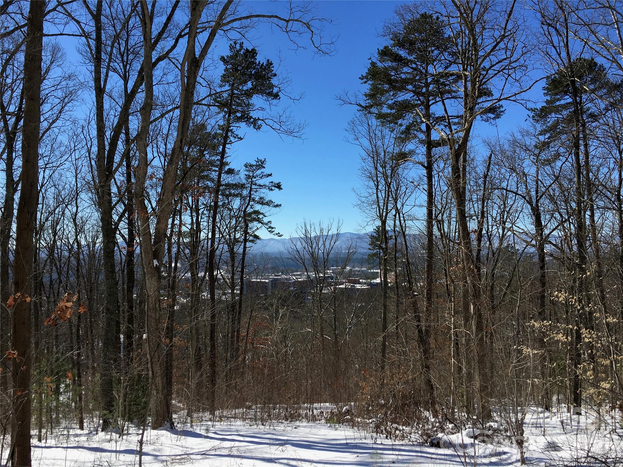 2nd image of 28 Samuel Ashe Dr, Asheville, NC 28805 | MLS# 4405660