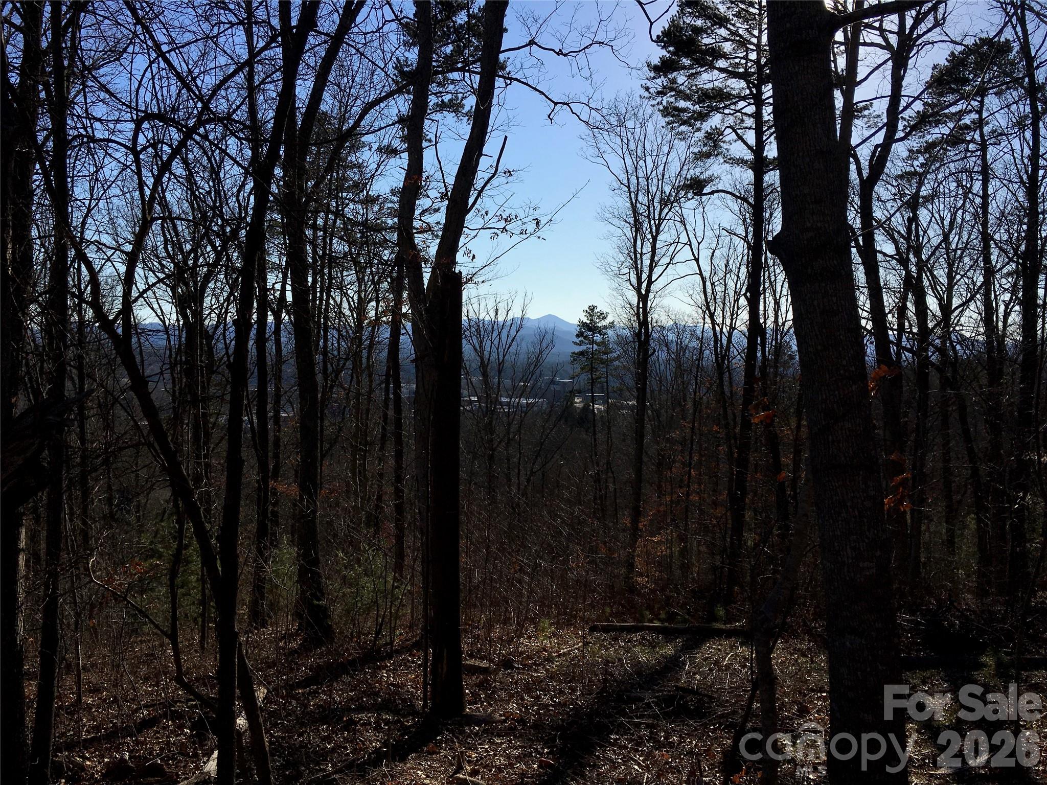 15th image of 28 Samuel Ashe Dr, Asheville, NC 28805 | MLS# 4405660