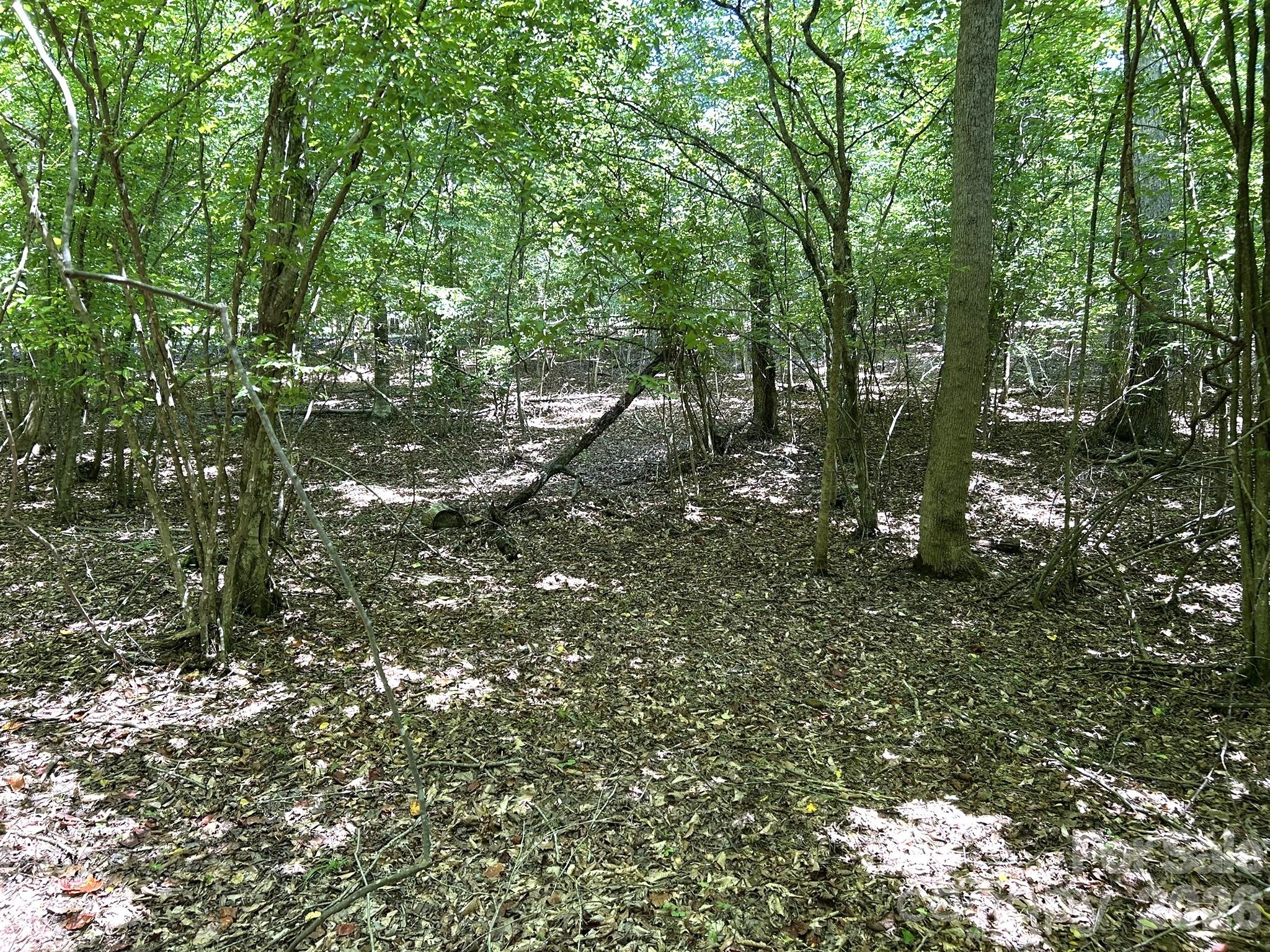 5th image of 00 River Crest Pkwy #26, Rutherfordton, NC 28139 | MLS# 4405779