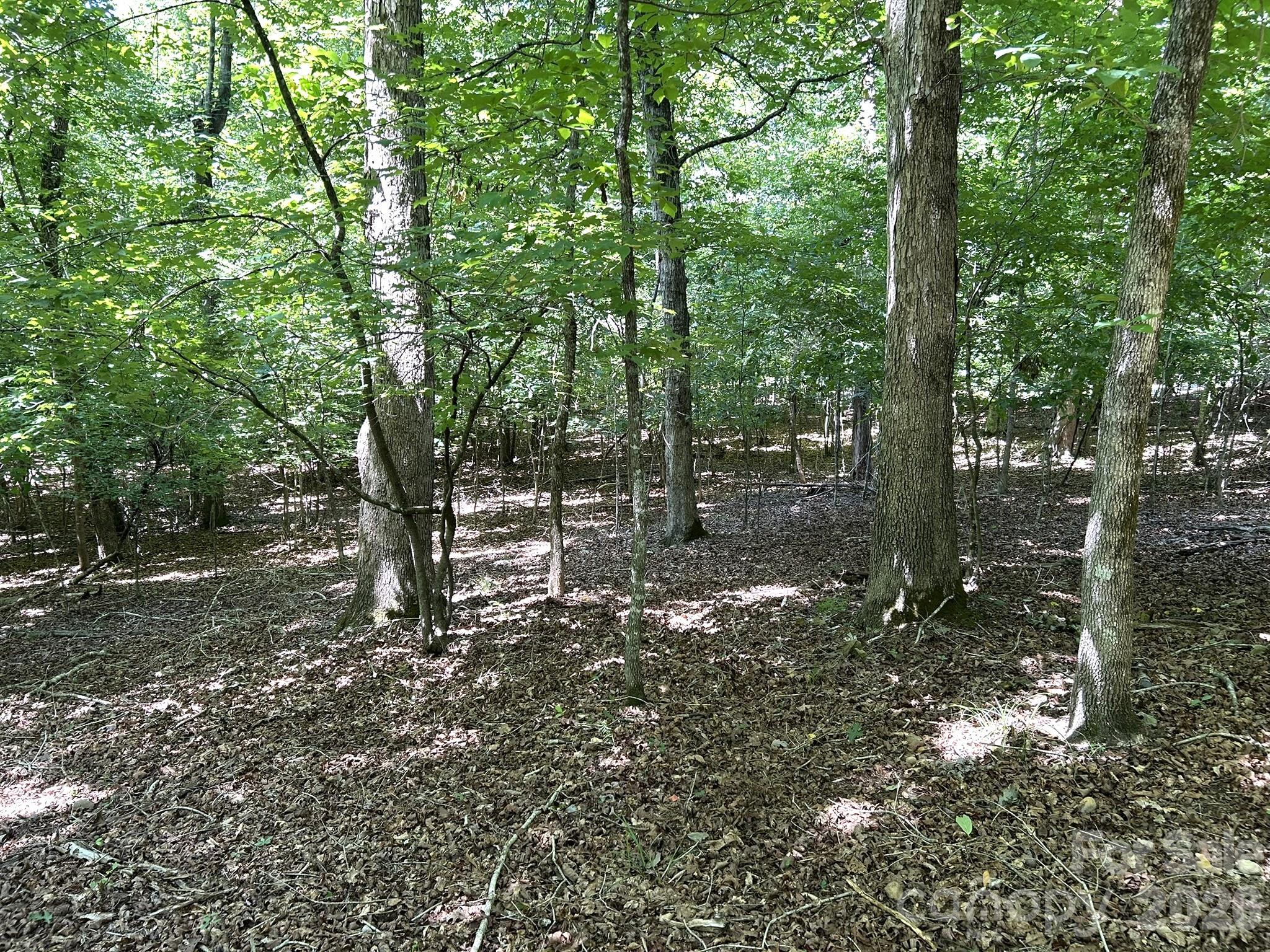 3rd image of 00 River Crest Pkwy #26, Rutherfordton, NC 28139 | MLS# 4405779