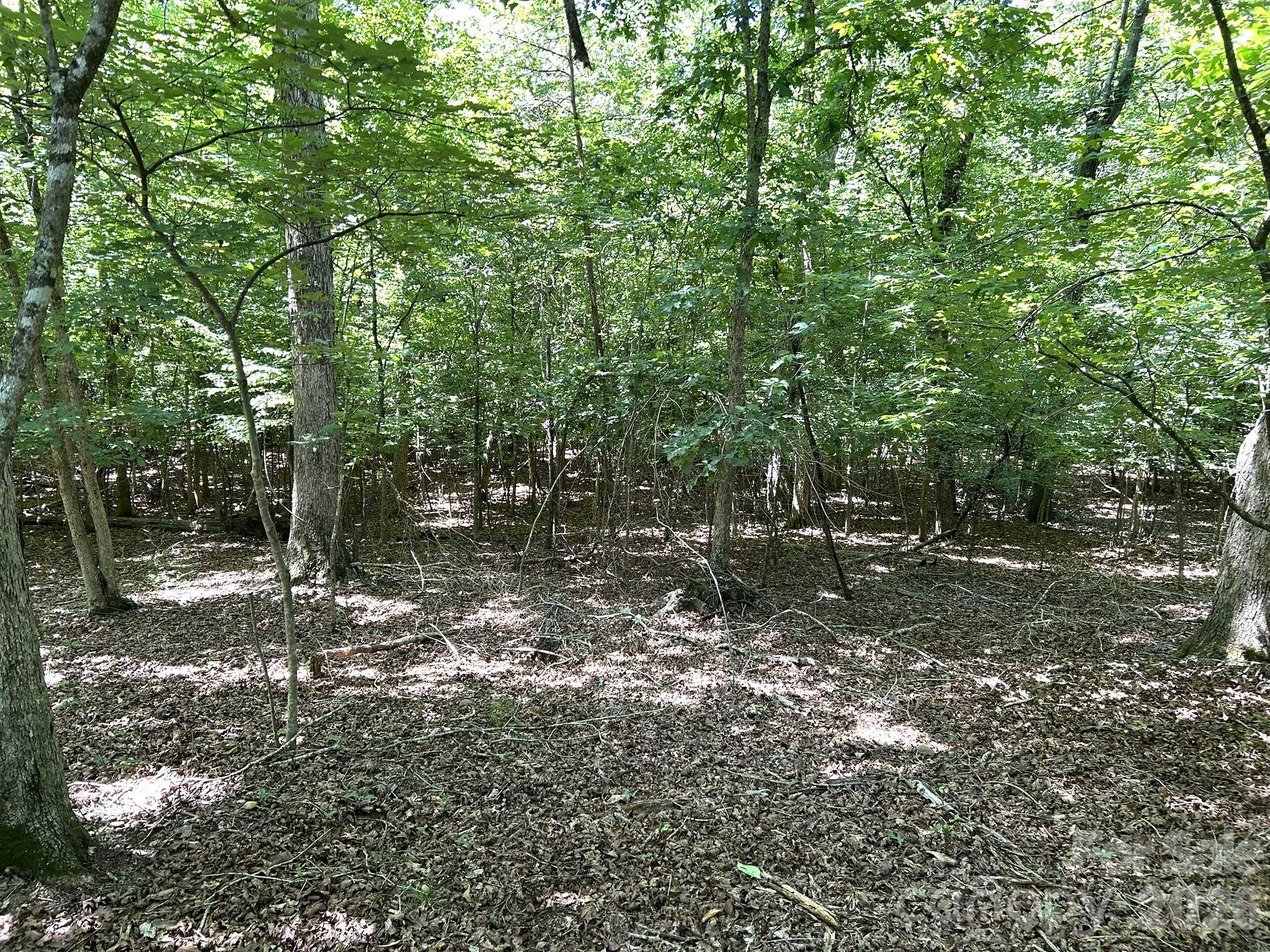 4th image of 00 River Crest Pkwy #26, Rutherfordton, NC 28139 | MLS# 4405779