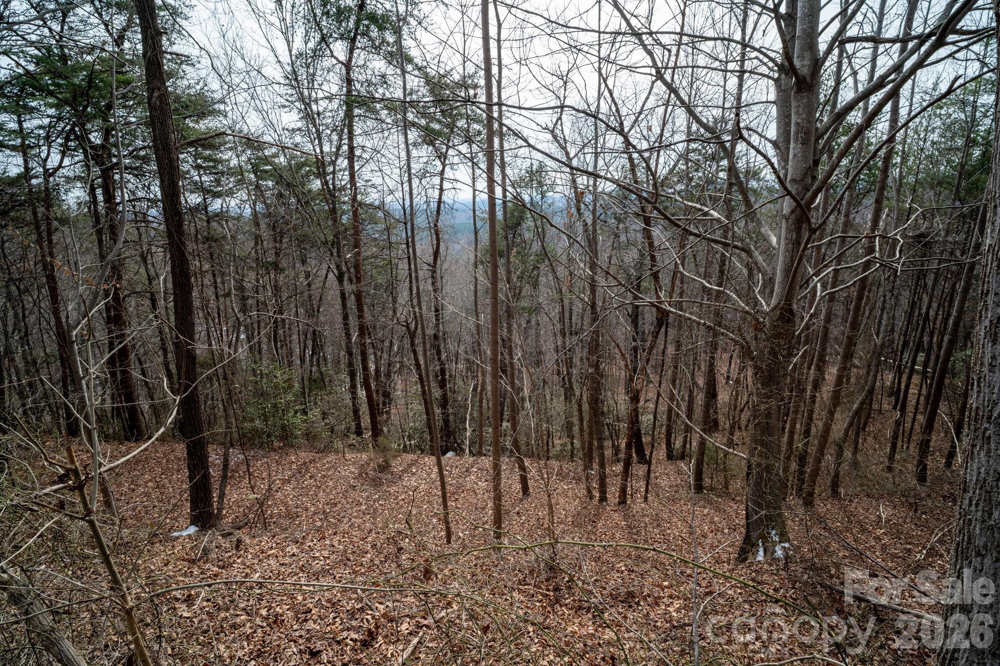 25th image of 000 Pinnacle Pkwy, Union Mills, NC 28167 | MLS# 4405947