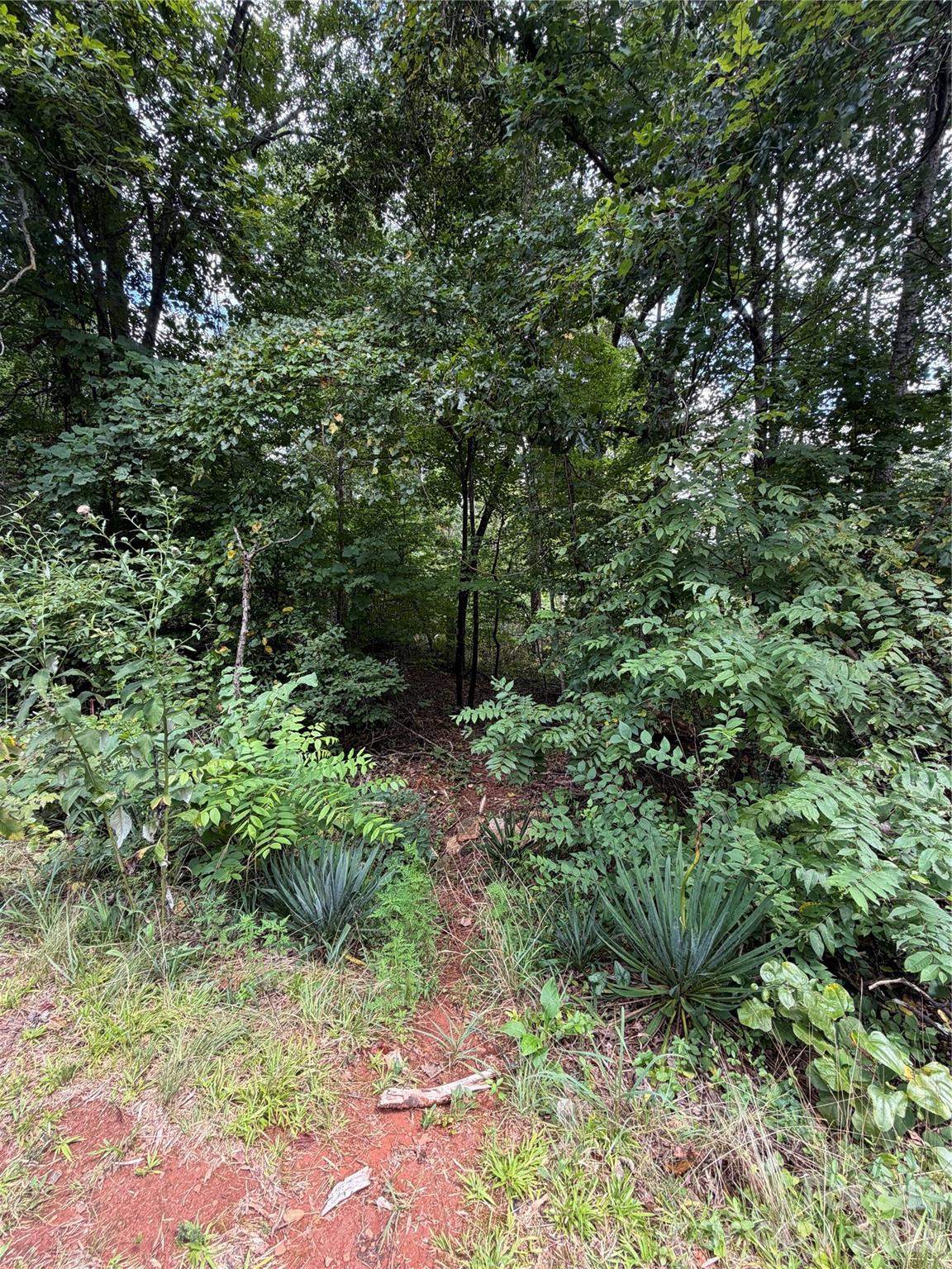 5th image of 0 Spindale St, Spindale, NC 28160 | MLS# 4406095