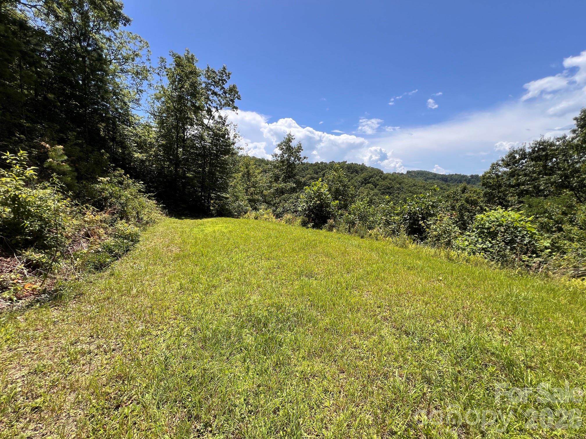 Homes for sale in Bryson City, NC | Lot 14 Fontana Ridge Rd, Bryson City, NC 28713 | MLS# 4406260