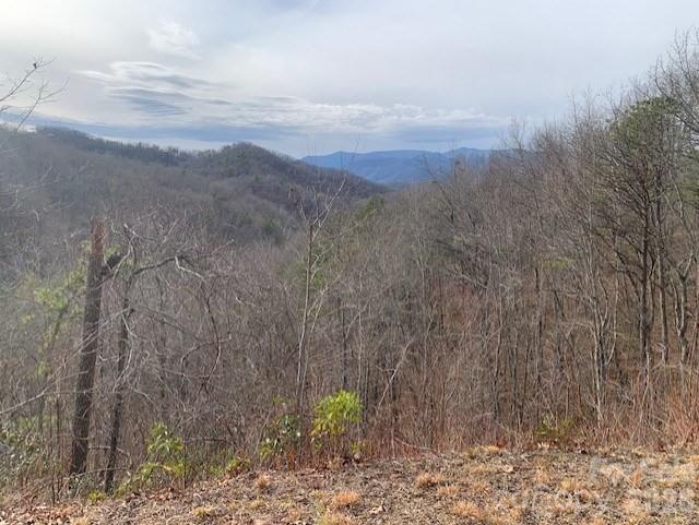 Homes for sale in Bryson City, NC | Lot 14 Fontana Ridge Rd, Bryson City, NC 28713 | MLS# 4406260