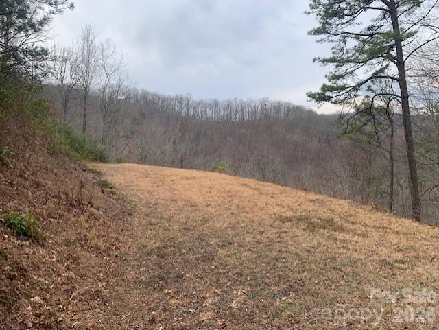 Homes for sale in Bryson City, NC | Lot 14 Fontana Ridge Rd, Bryson City, NC 28713 | MLS# 4406260