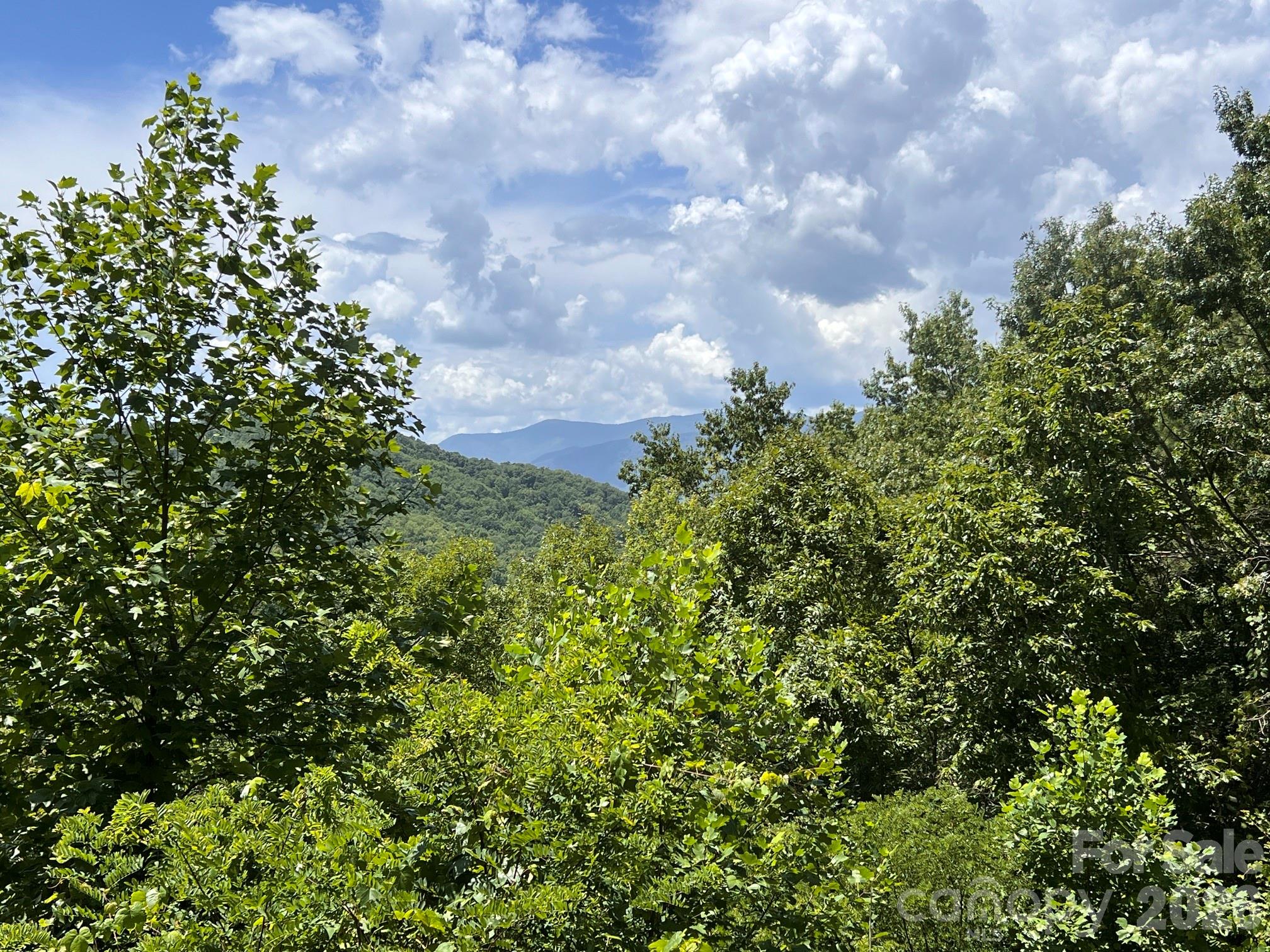 Homes for sale in Bryson City, NC | Lot 14 Fontana Ridge Rd, Bryson City, NC 28713 | MLS# 4406260