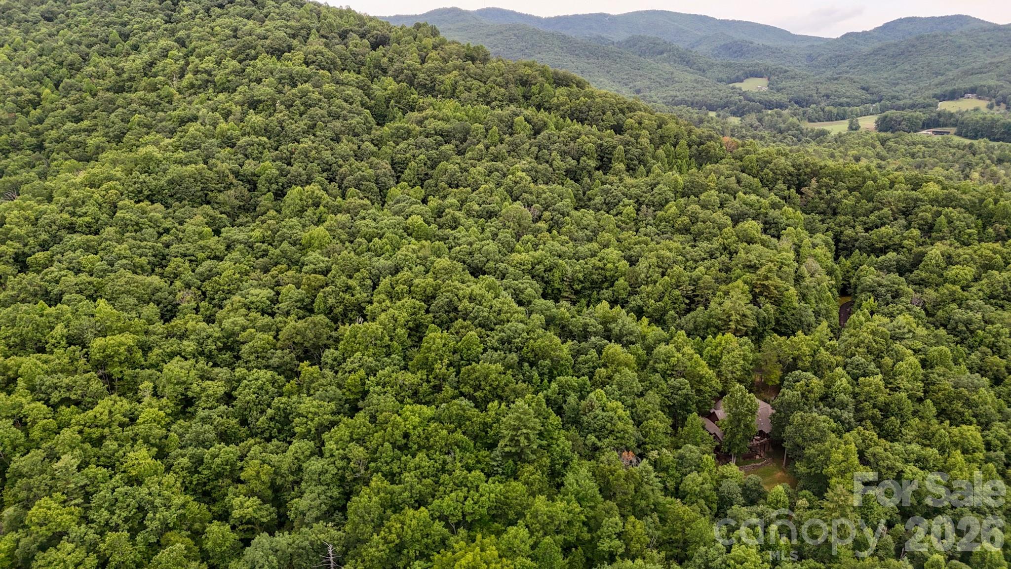 5th image of 364 & 365 Big Bear Trl #23/24, Zirconia, NC 28790 | MLS# 4406296