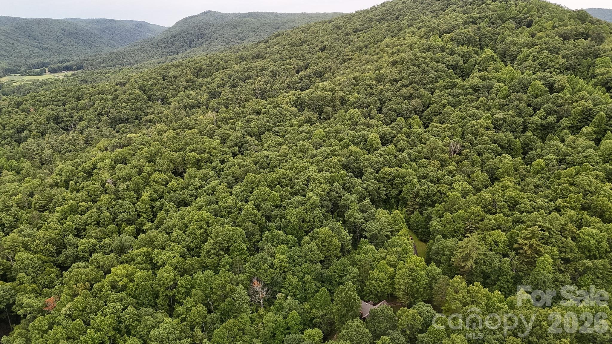 4th image of 364 & 365 Big Bear Trl #23/24, Zirconia, NC 28790 | MLS# 4406296