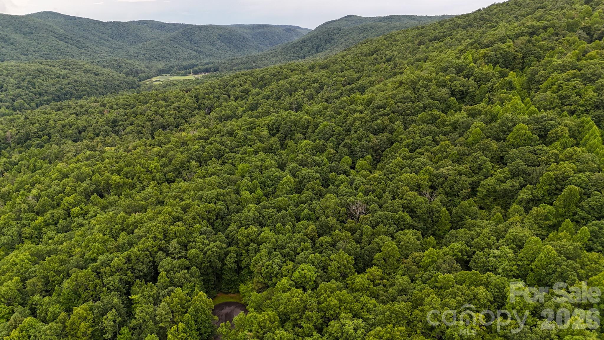 2nd image of 364 & 365 Big Bear Trl #23/24, Zirconia, NC 28790 | MLS# 4406296