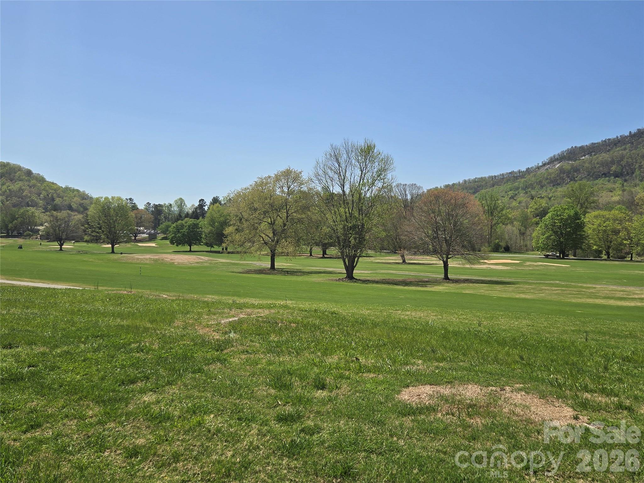 4th image of 156 W Lake Dr S #1301, Lake Lure, NC 28746 | MLS# 4406437