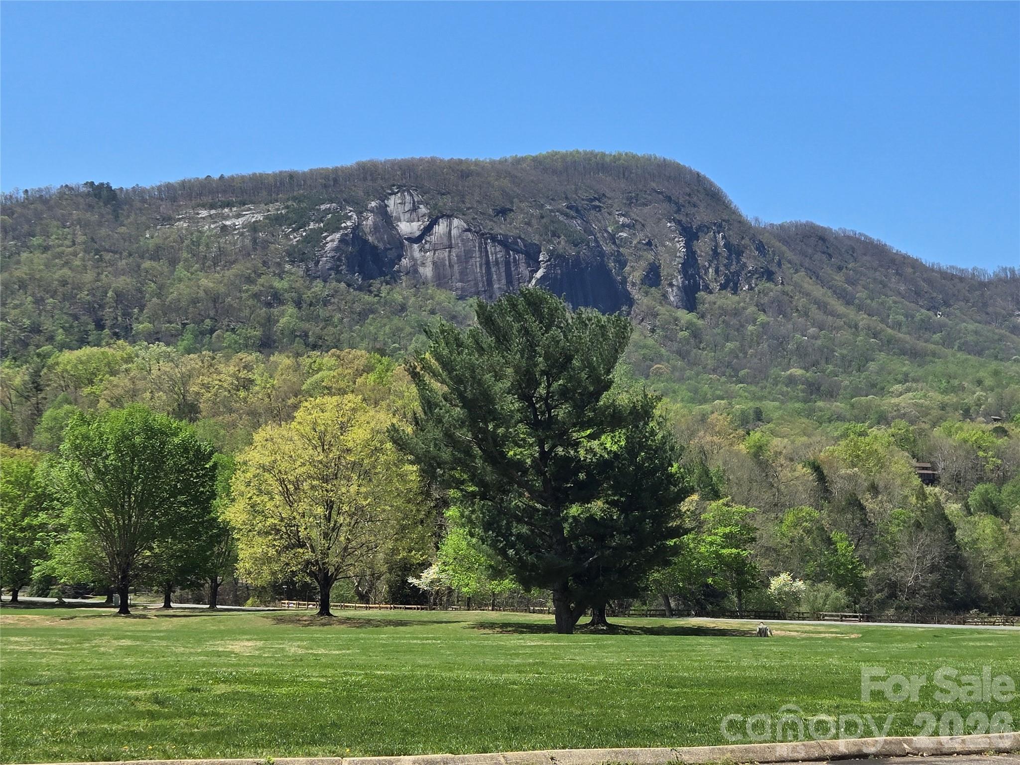 3rd image of 156 W Lake Dr S #1301, Lake Lure, NC 28746 | MLS# 4406437