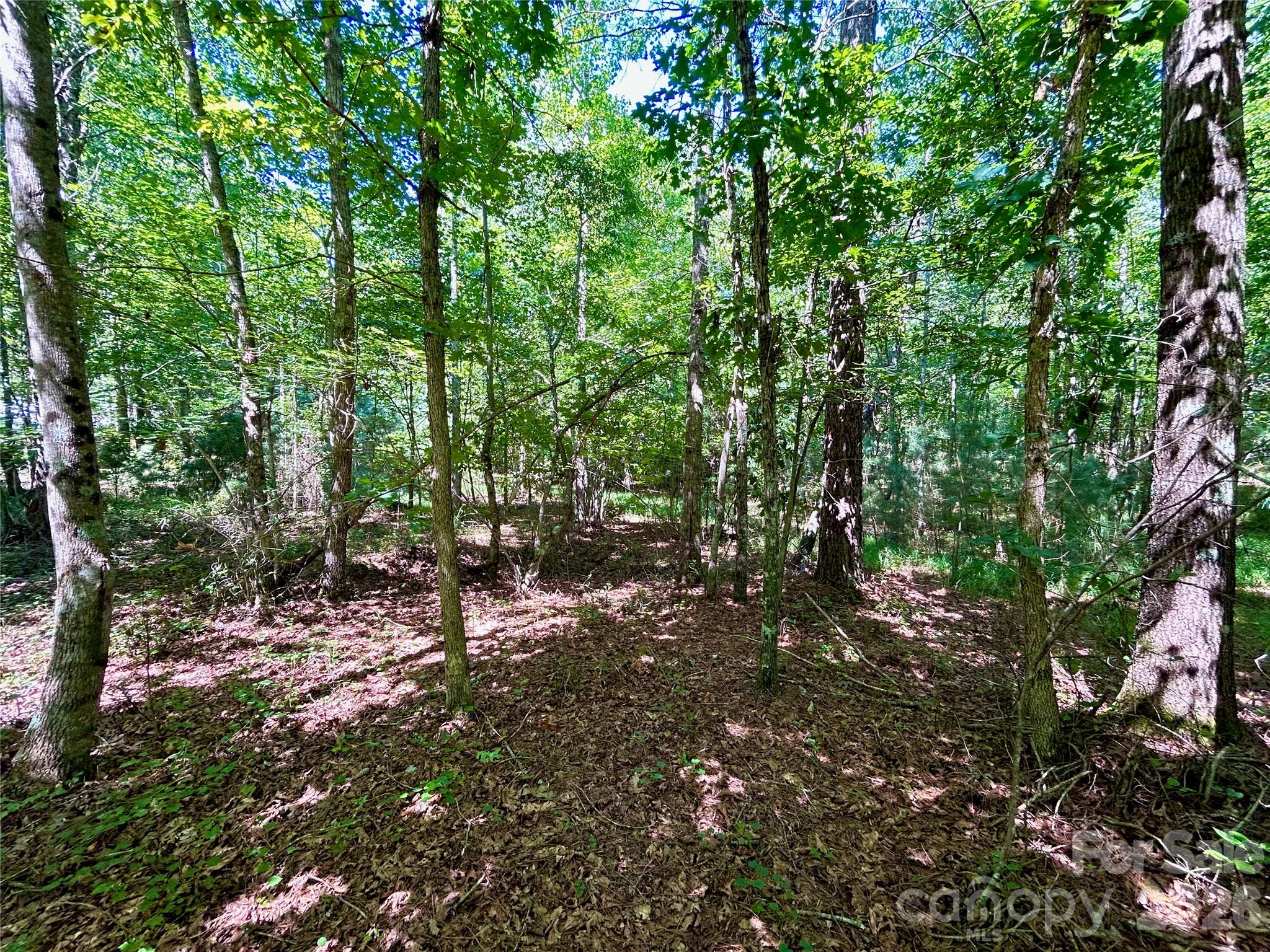 4th image of 1036 W Paradise Harbor Dr, Connelly Springs, NC 28612 | MLS# 4406501