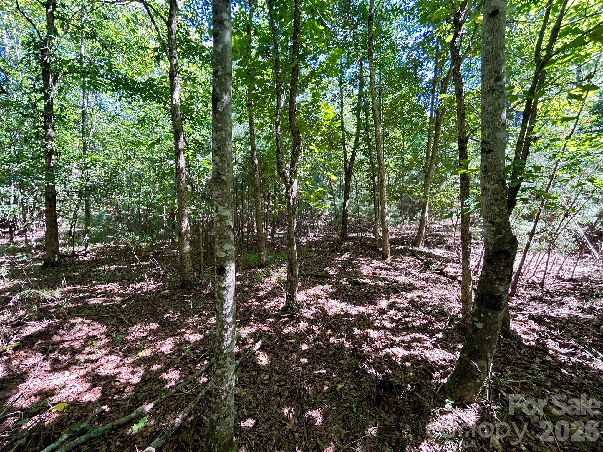 2nd image of 1036 W Paradise Harbor Dr, Connelly Springs, NC 28612 | MLS# 4406501