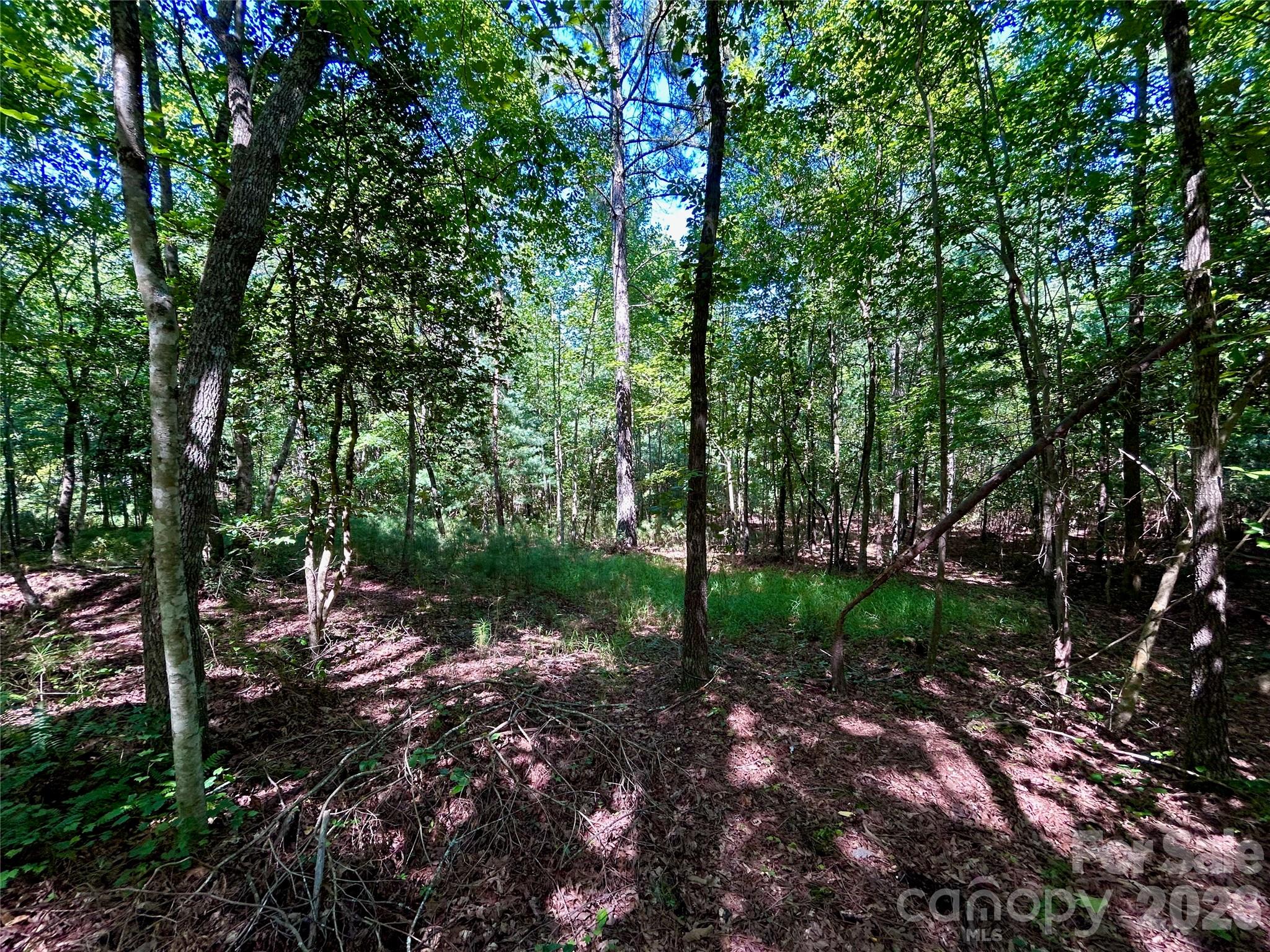 3rd image of 1036 W Paradise Harbor Dr, Connelly Springs, NC 28612 | MLS# 4406501