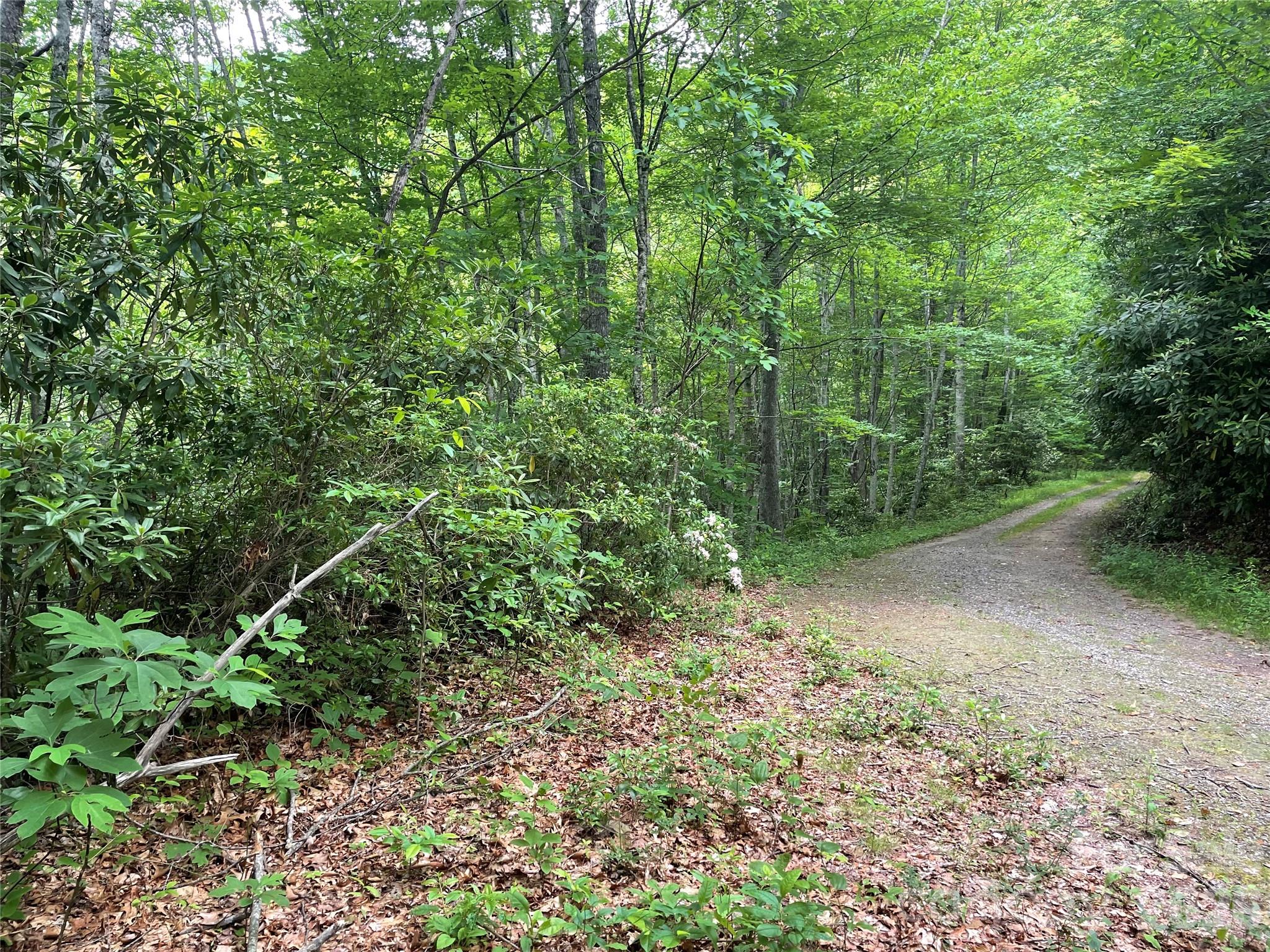 Homes for sale in Balsam, NC | Lt 279 Cabin Flats Rd #279, Balsam, NC 28707 | MLS# 4406537