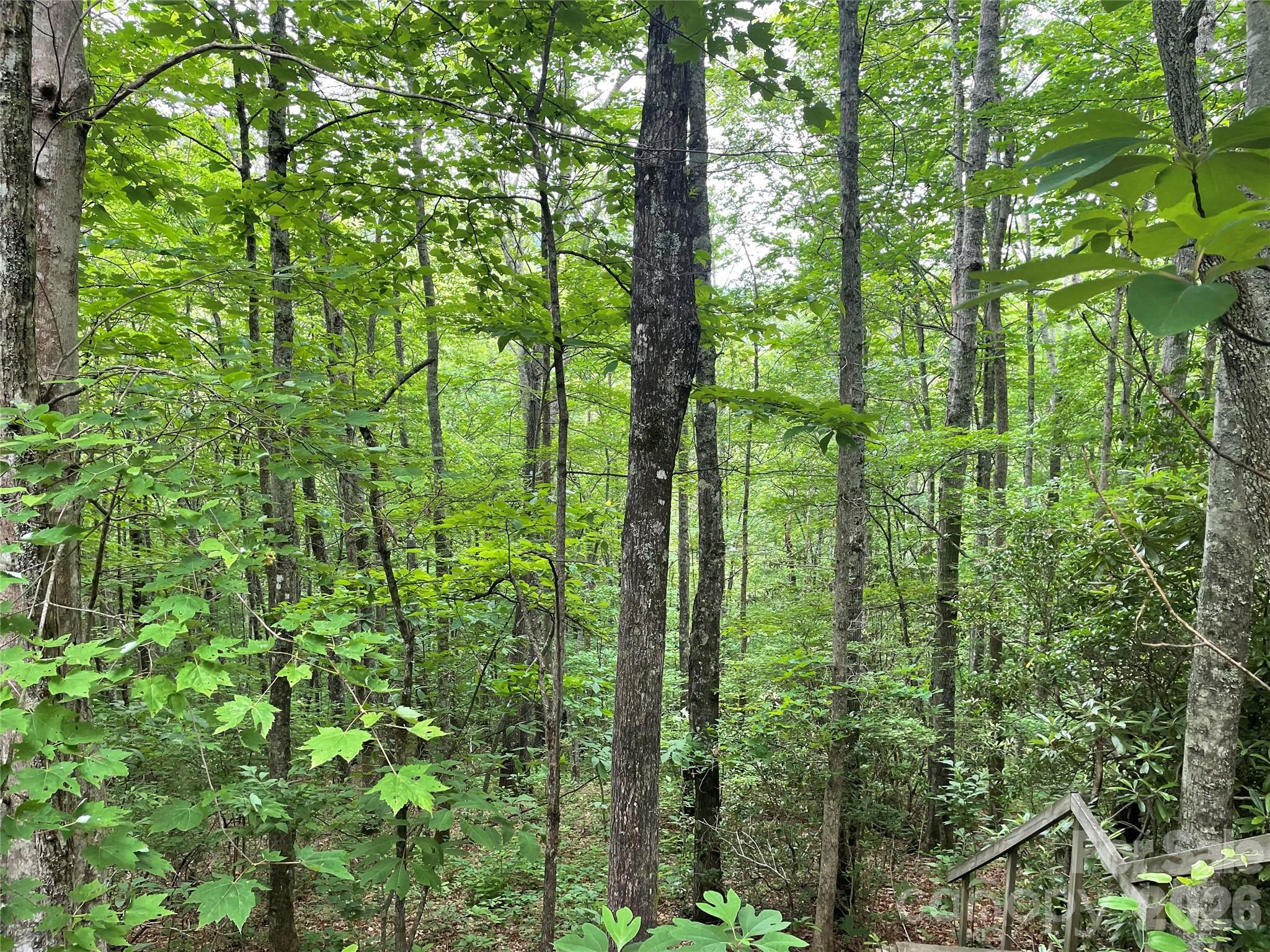 Homes for sale in Balsam, NC | Lt 279 Cabin Flats Rd #279, Balsam, NC 28707 | MLS# 4406537