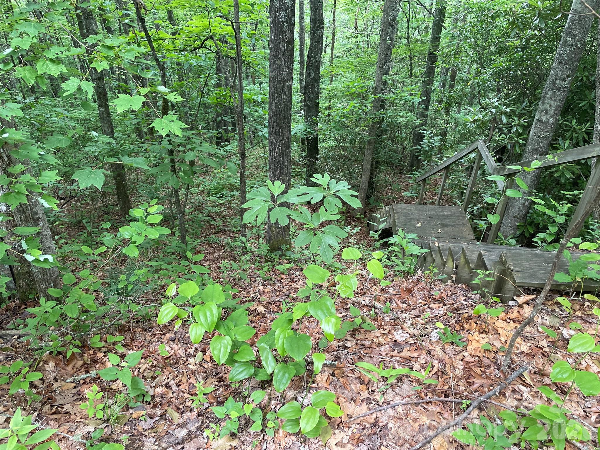 Homes for sale in Balsam, NC | Lt 279 Cabin Flats Rd #279, Balsam, NC 28707 | MLS# 4406537