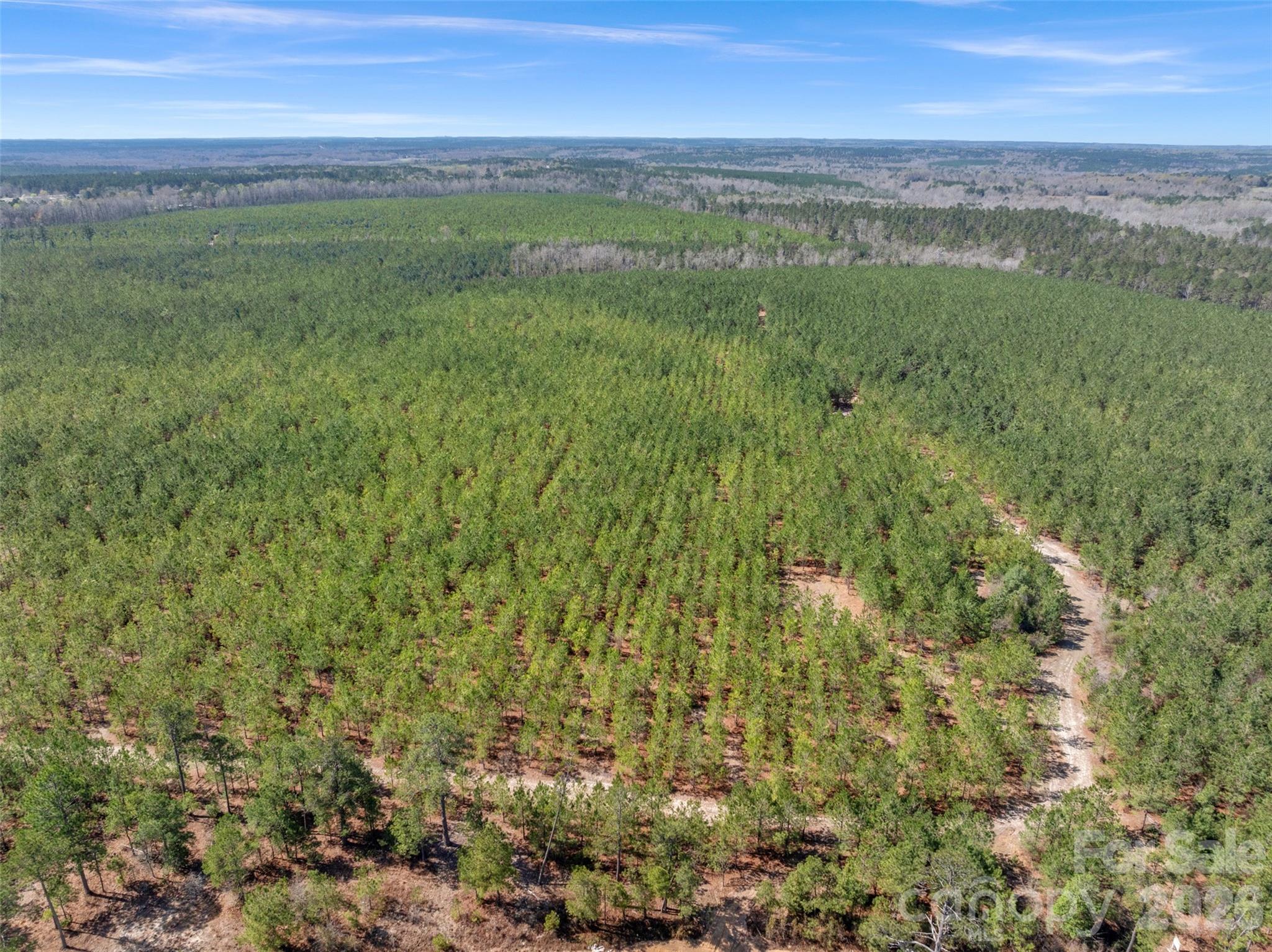 3rd image of 931 Charlie Johnson Rd #3, Kershaw, SC 29067 | MLS# 4406678