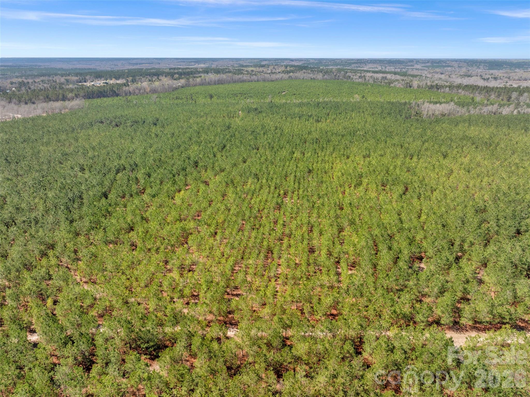 4th image of 931 Charlie Johnson Rd #3, Kershaw, SC 29067 | MLS# 4406678
