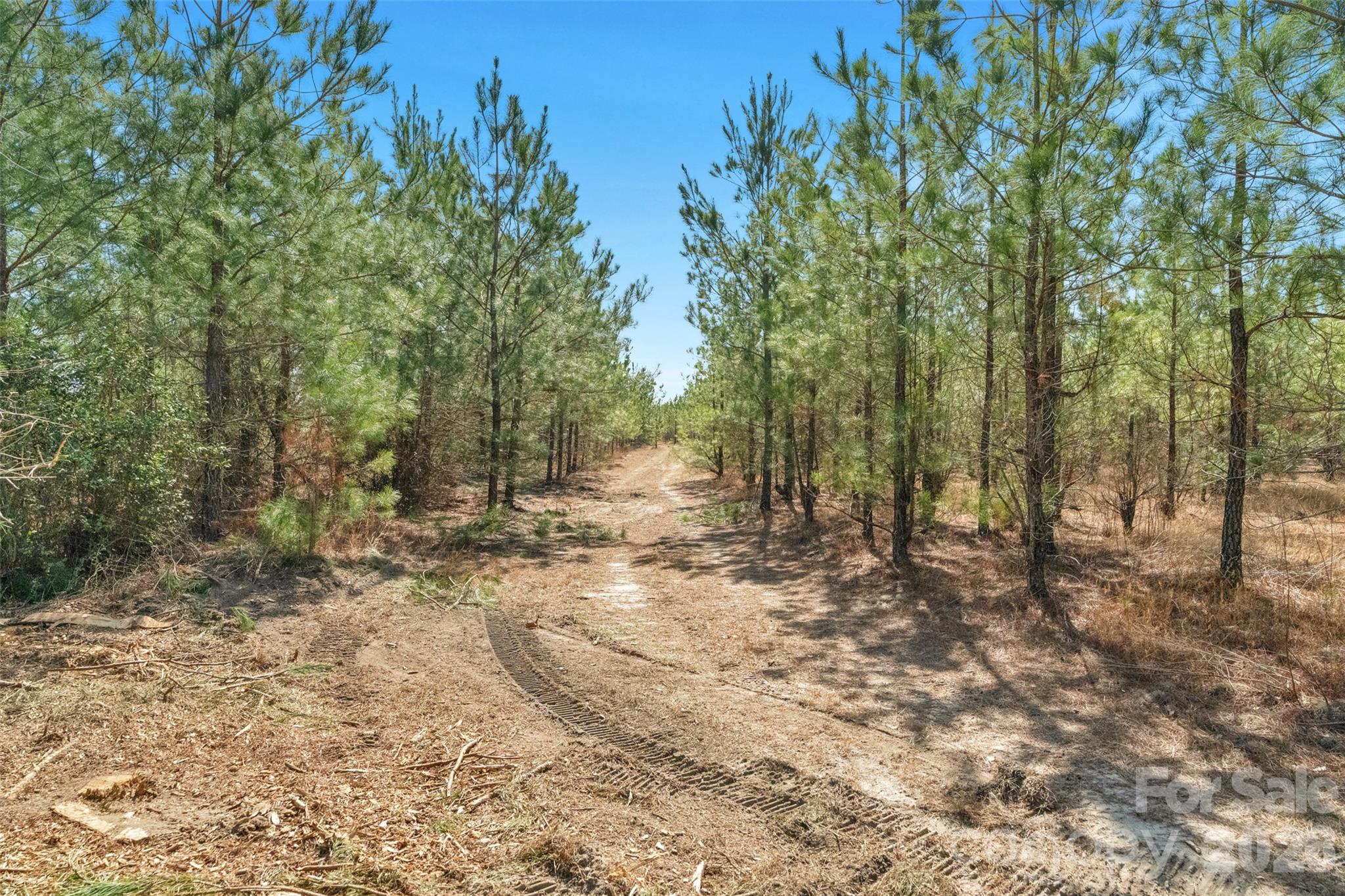 35th image of 931 Charlie Johnson Rd #3, Kershaw, SC 29067 | MLS# 4406678