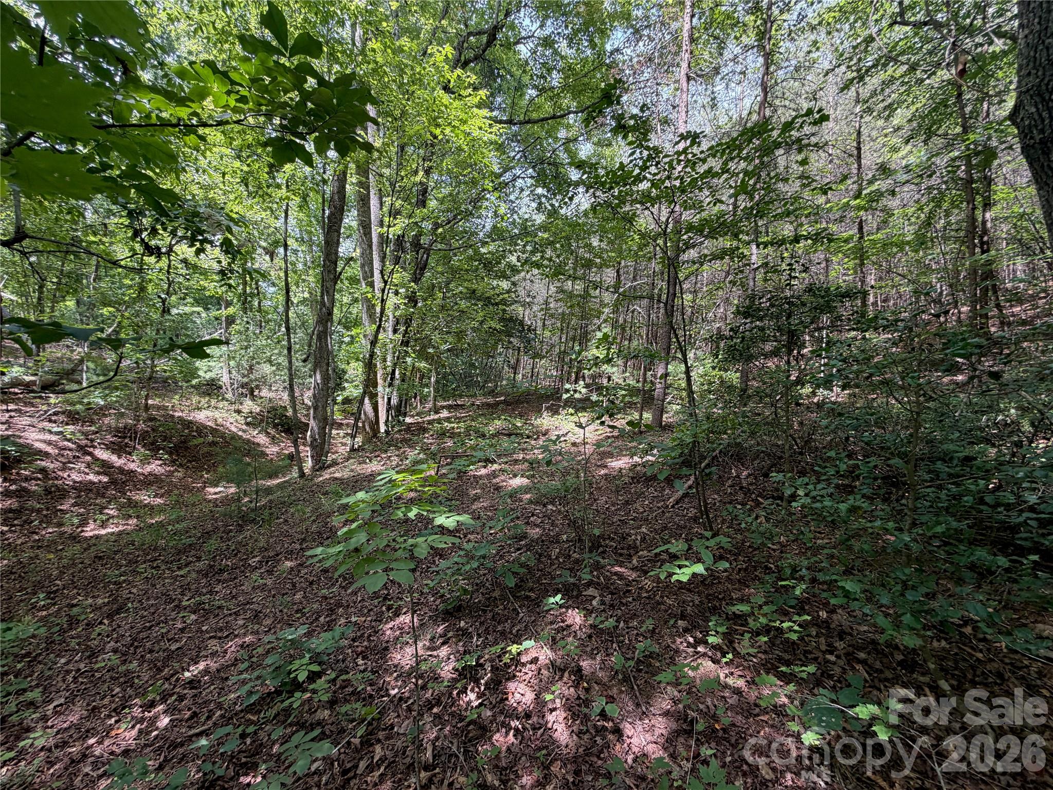 40th image of 5022 Old Nc 18 Hwy, Connellys Springs, NC 28612 | MLS# 4406749