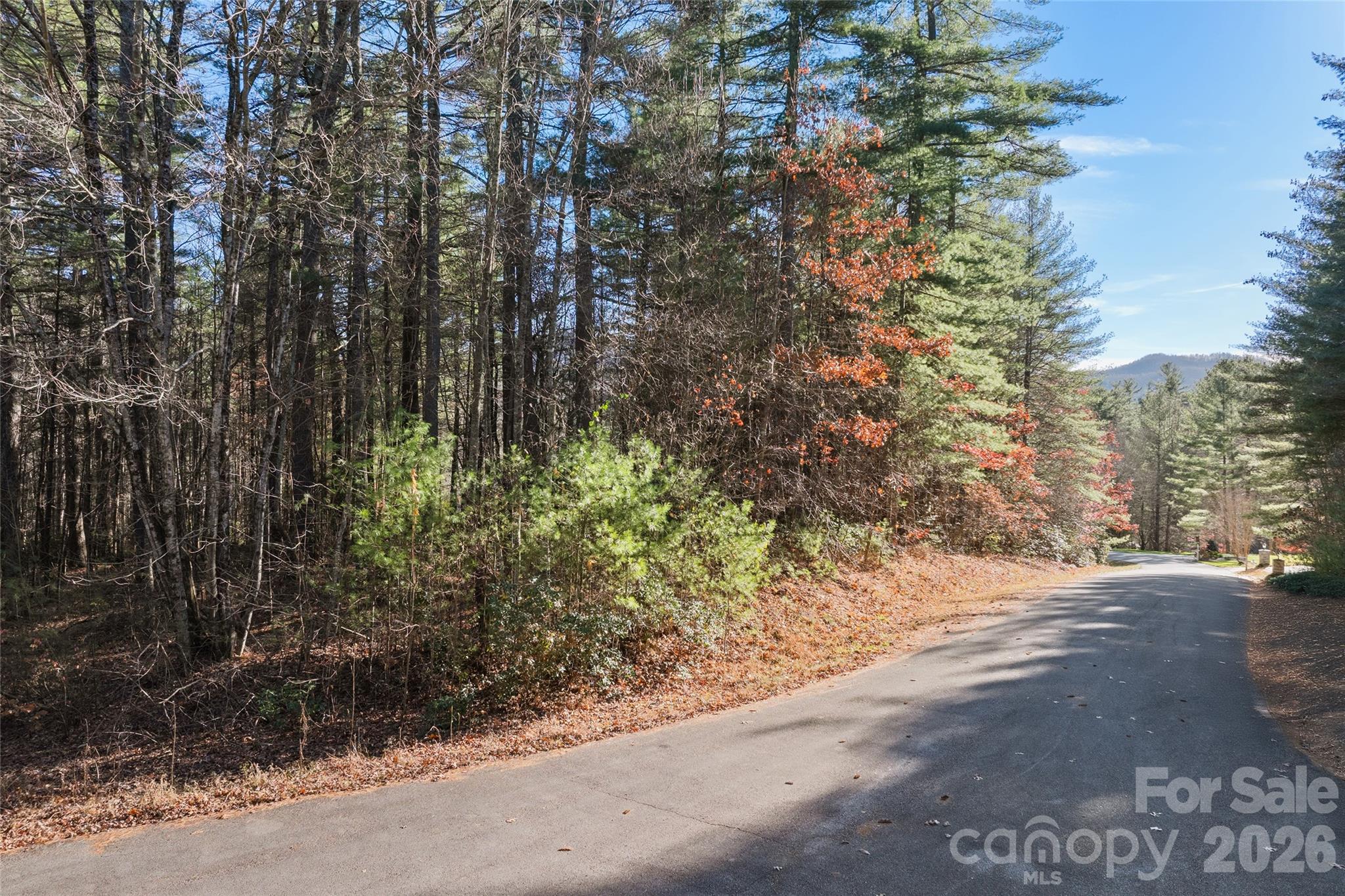 4th image of 0 Daylily Dr #Lot 20, Hendersonville, NC 28739 | MLS# 4406939