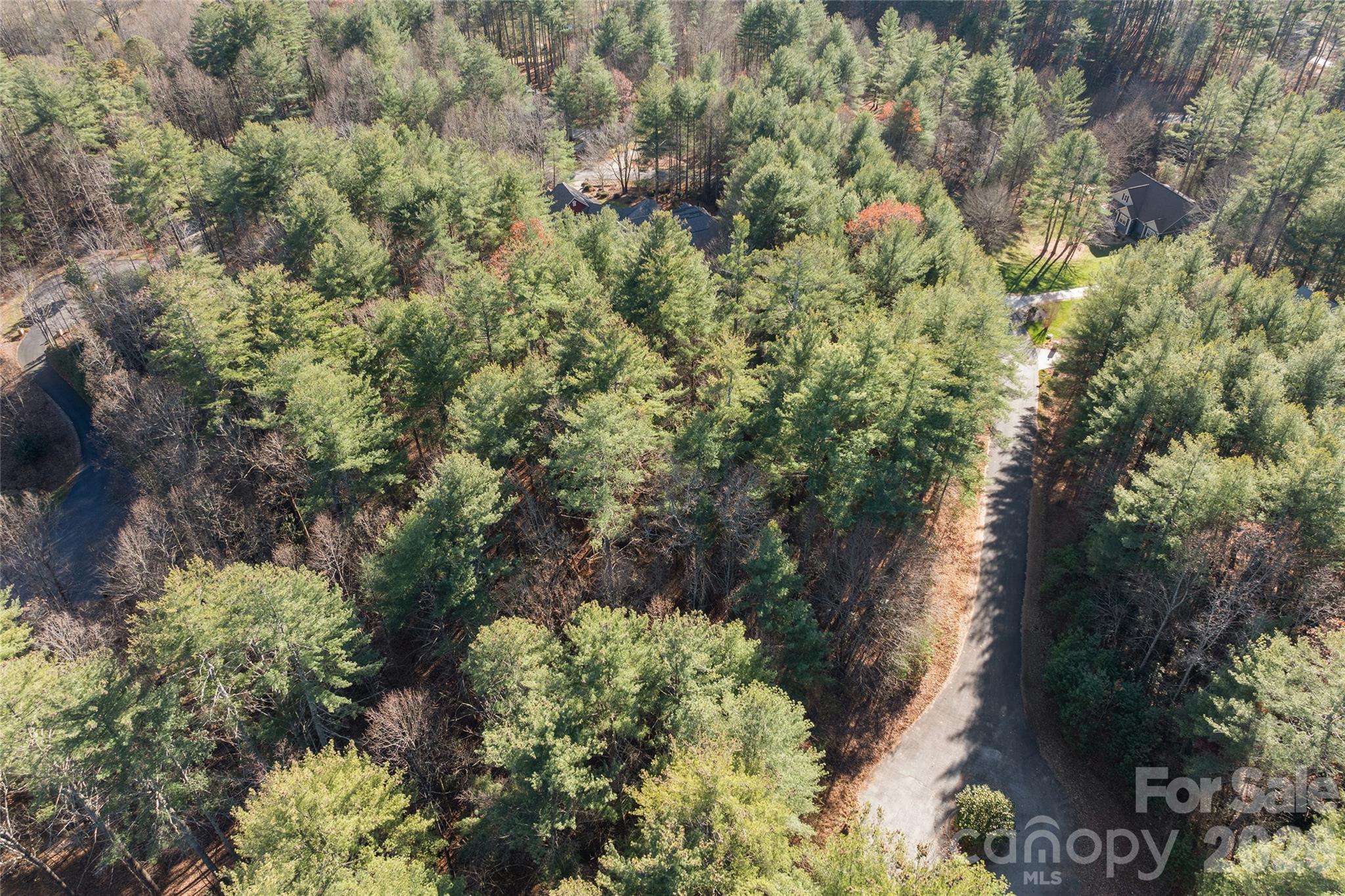 3rd image of 0 Daylily Dr #Lot 20, Hendersonville, NC 28739 | MLS# 4406939