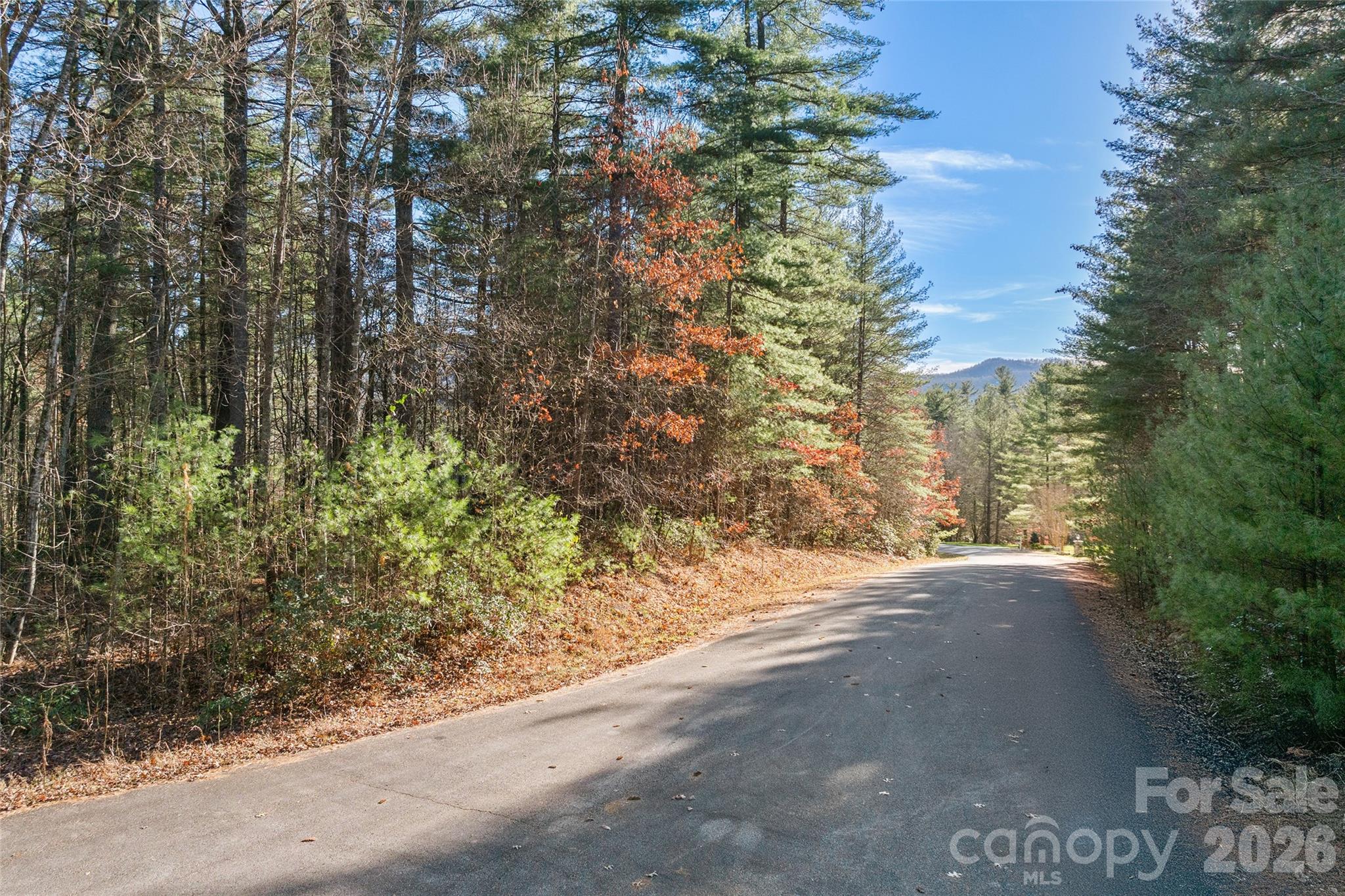 1st image of 0 Daylily Dr #Lot 20, Hendersonville, NC 28739 | MLS# 4406939