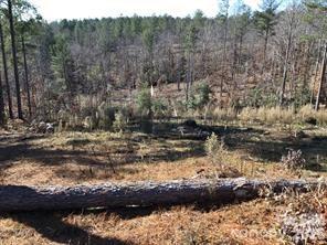 1st image of 2072 Snowmass Dr #36, Connelly Springs, NC 28612 | MLS# 4406950