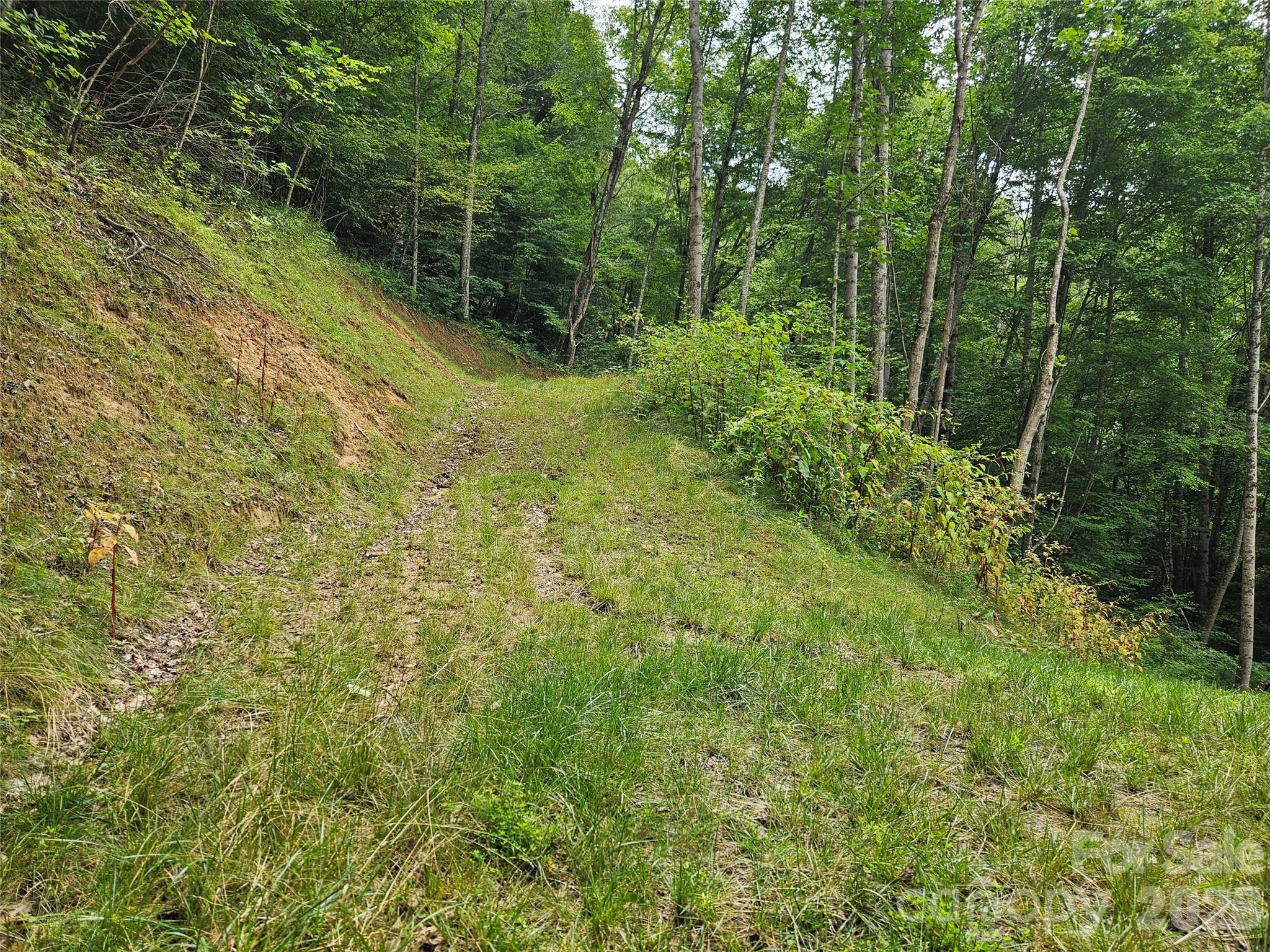 5th image of 00 Wayward Cvs, Clyde, NC 28721 | MLS# 4407283